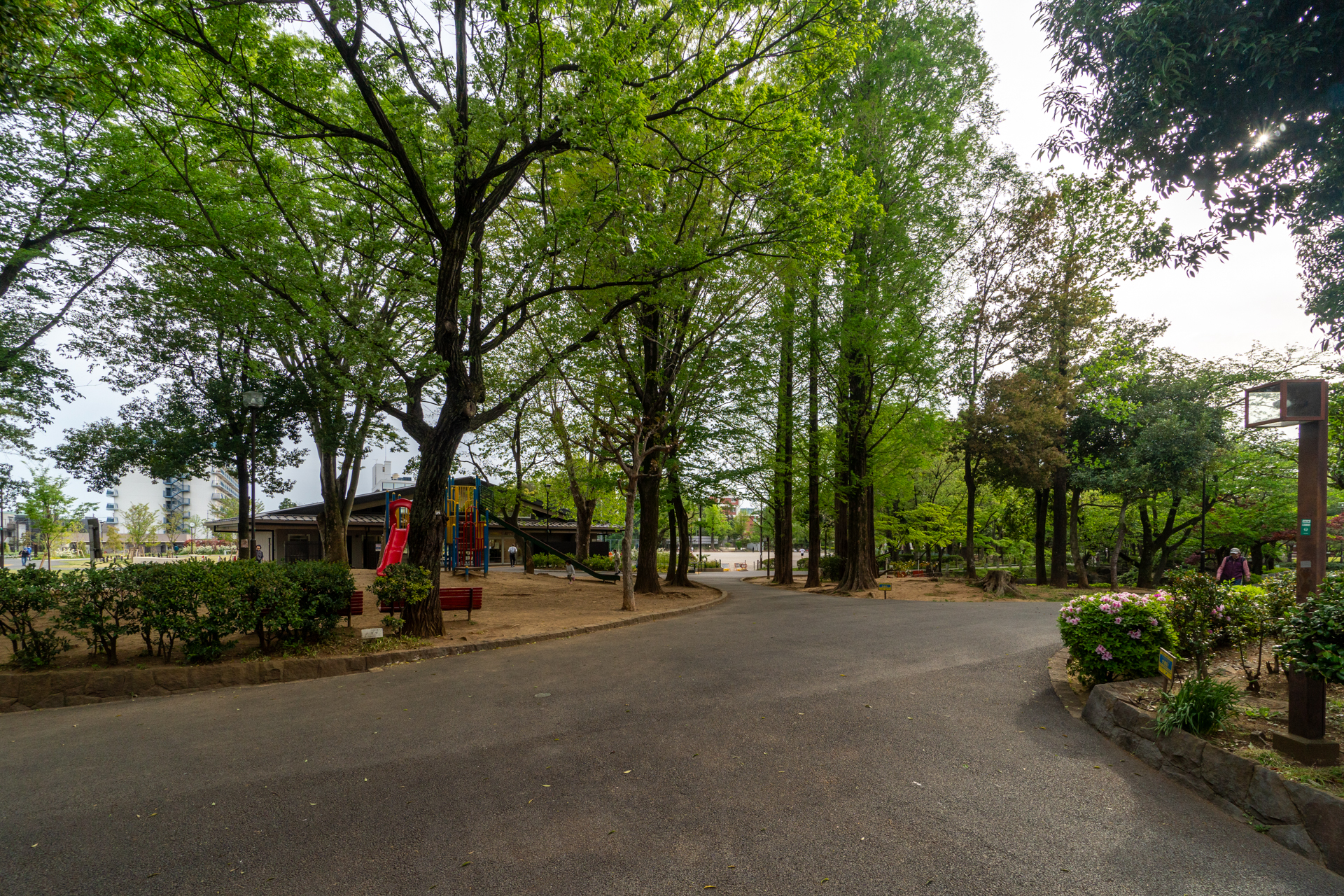 隣接している馬橋公園