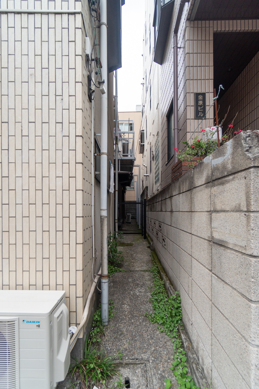 小道を通って玄関まで