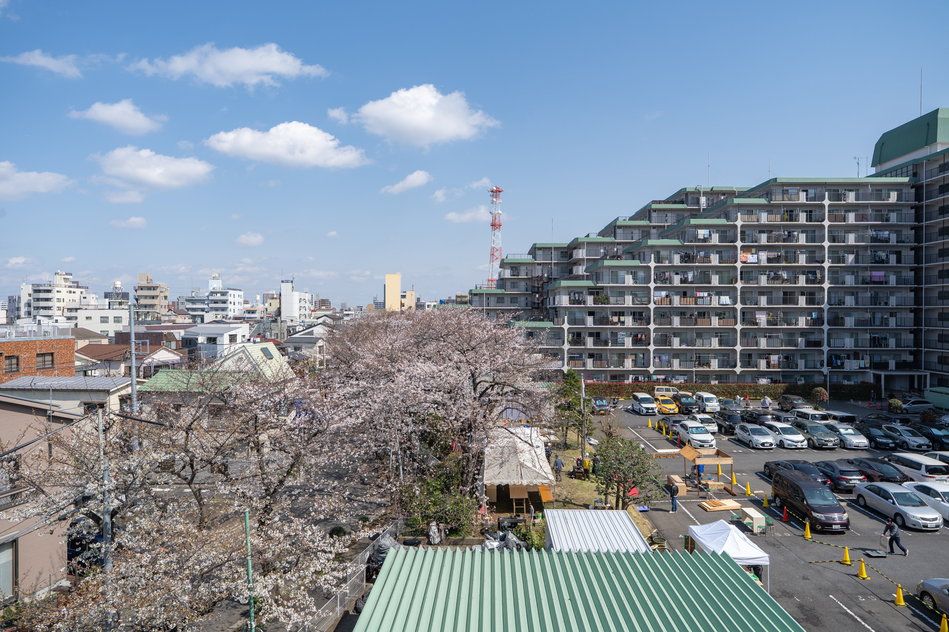リビング正面には広がる青空と桜