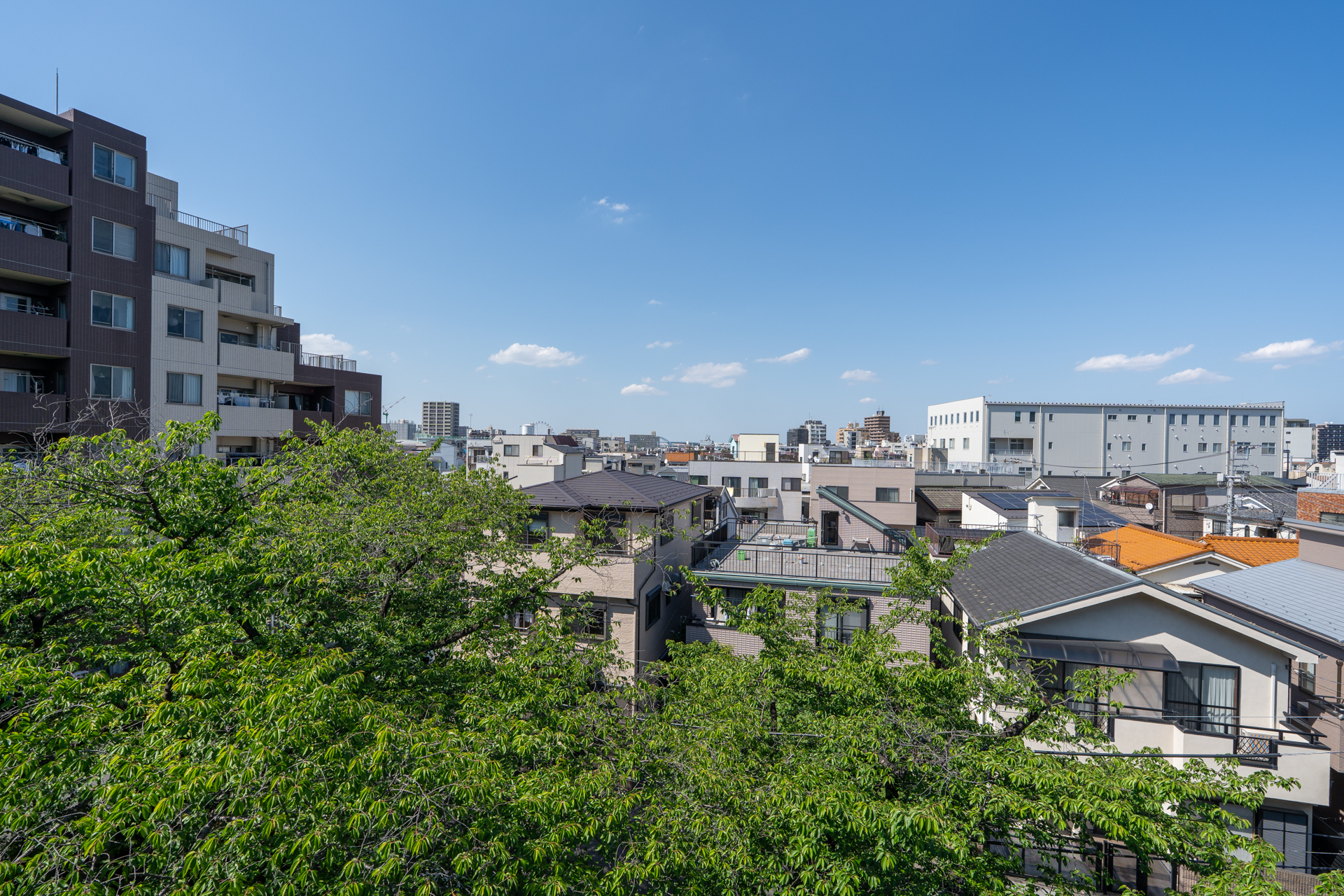キッチン側の窓からもこの眺め（緑の季節）