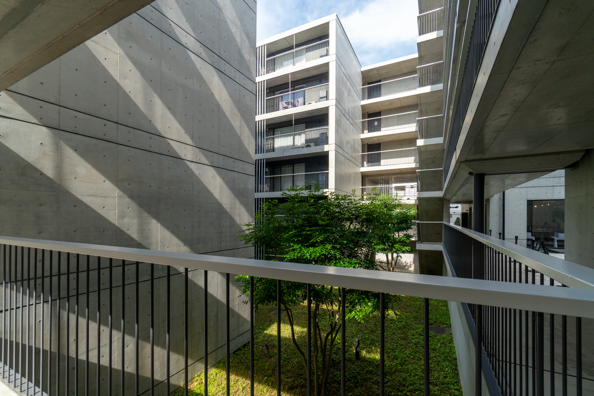 緑と建築のコントラスト