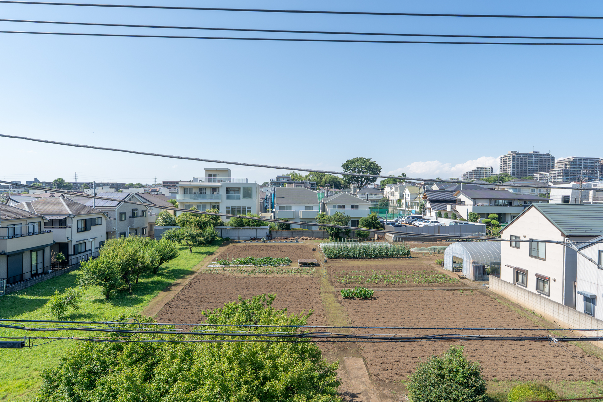 リビングのピクチャーウィンドウ目の前には生産緑地が広がるこの眺め