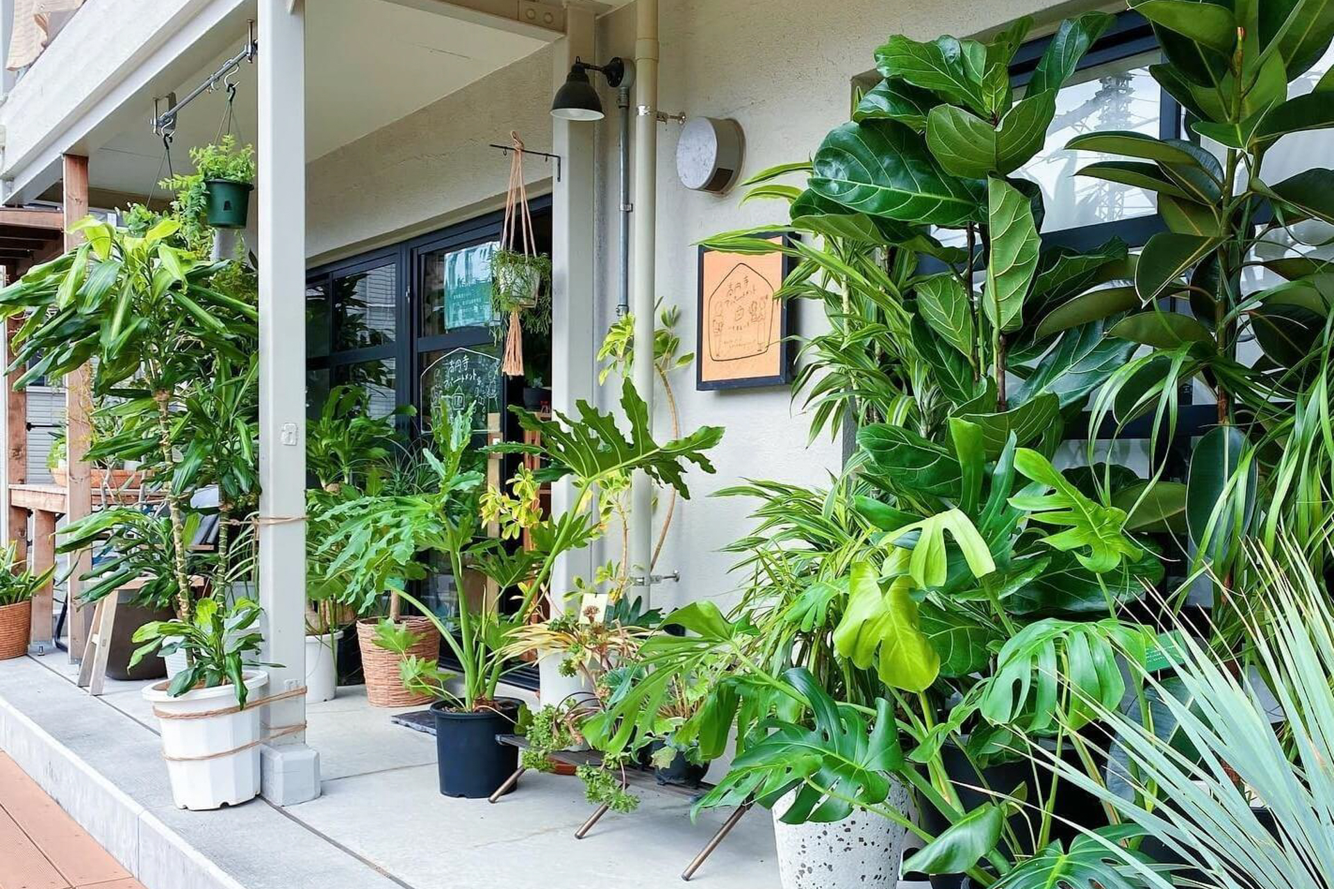 植物のお店と設計事務所も入居中（A棟）
