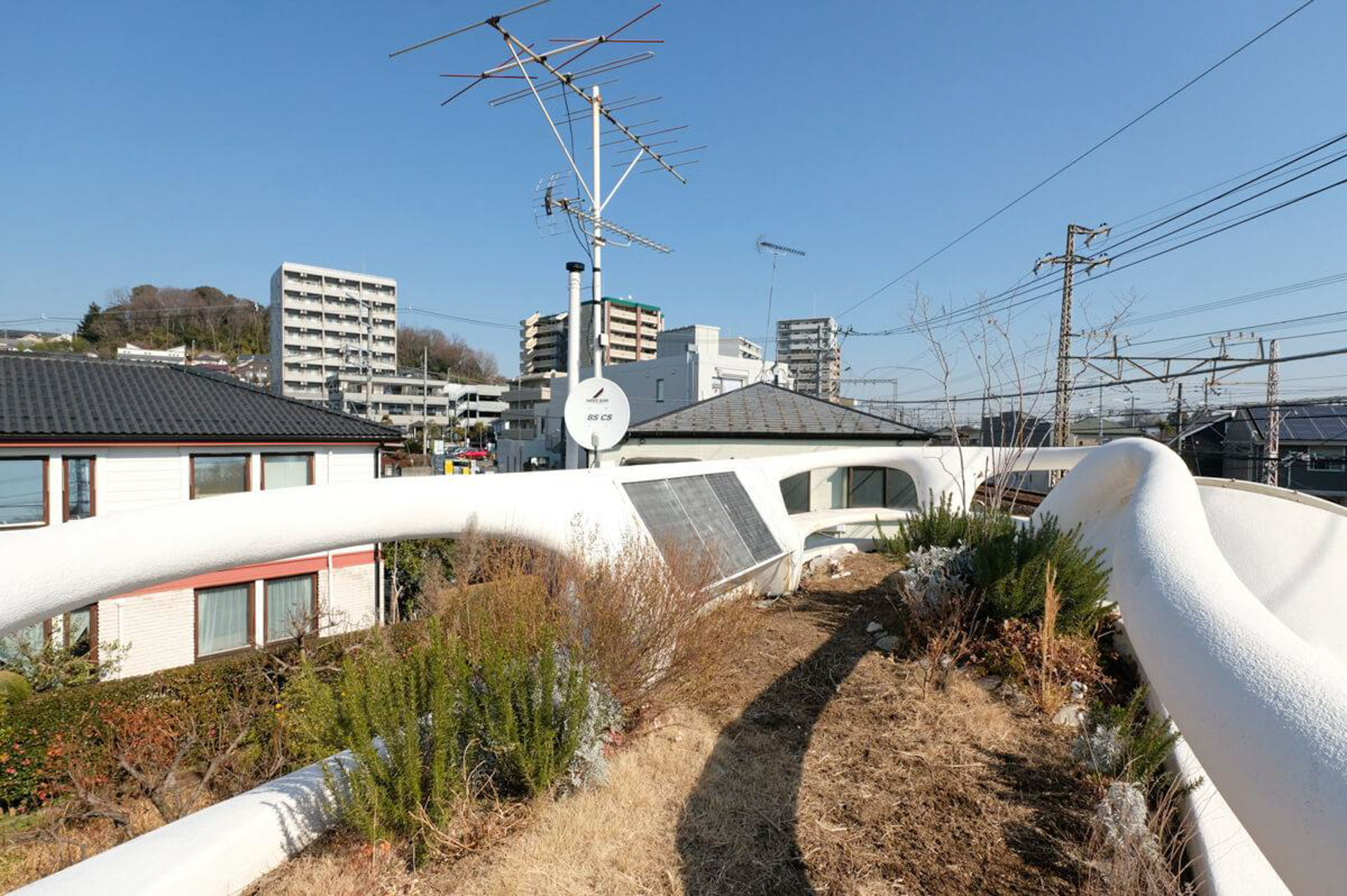 緑化された屋上