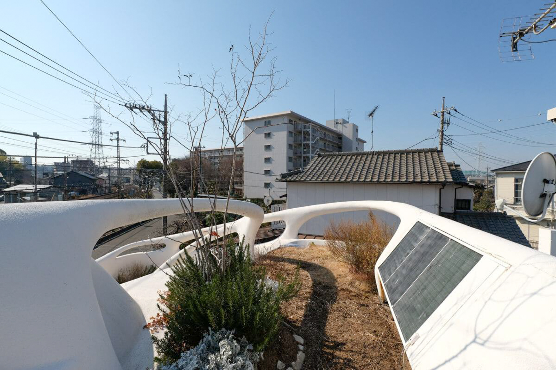 緑化された屋上