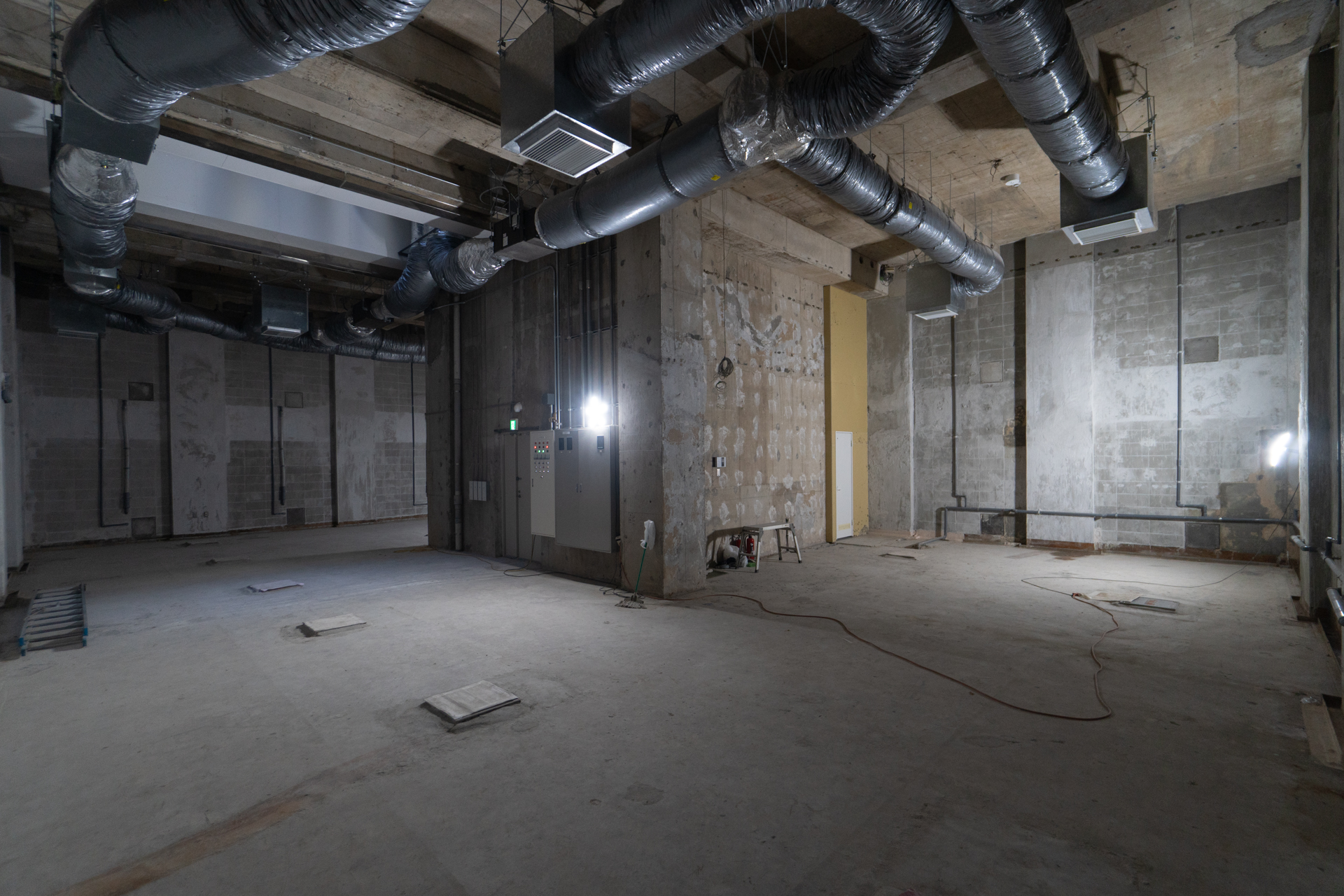 扉の大きさと天井高を見比べてください