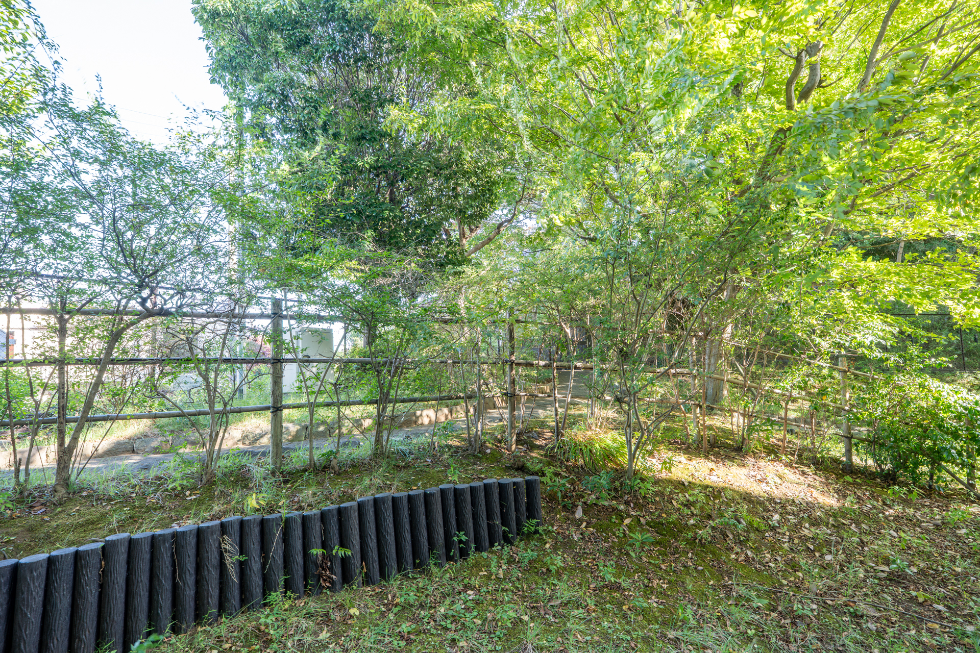 各部屋の窓の外も公園のような景色