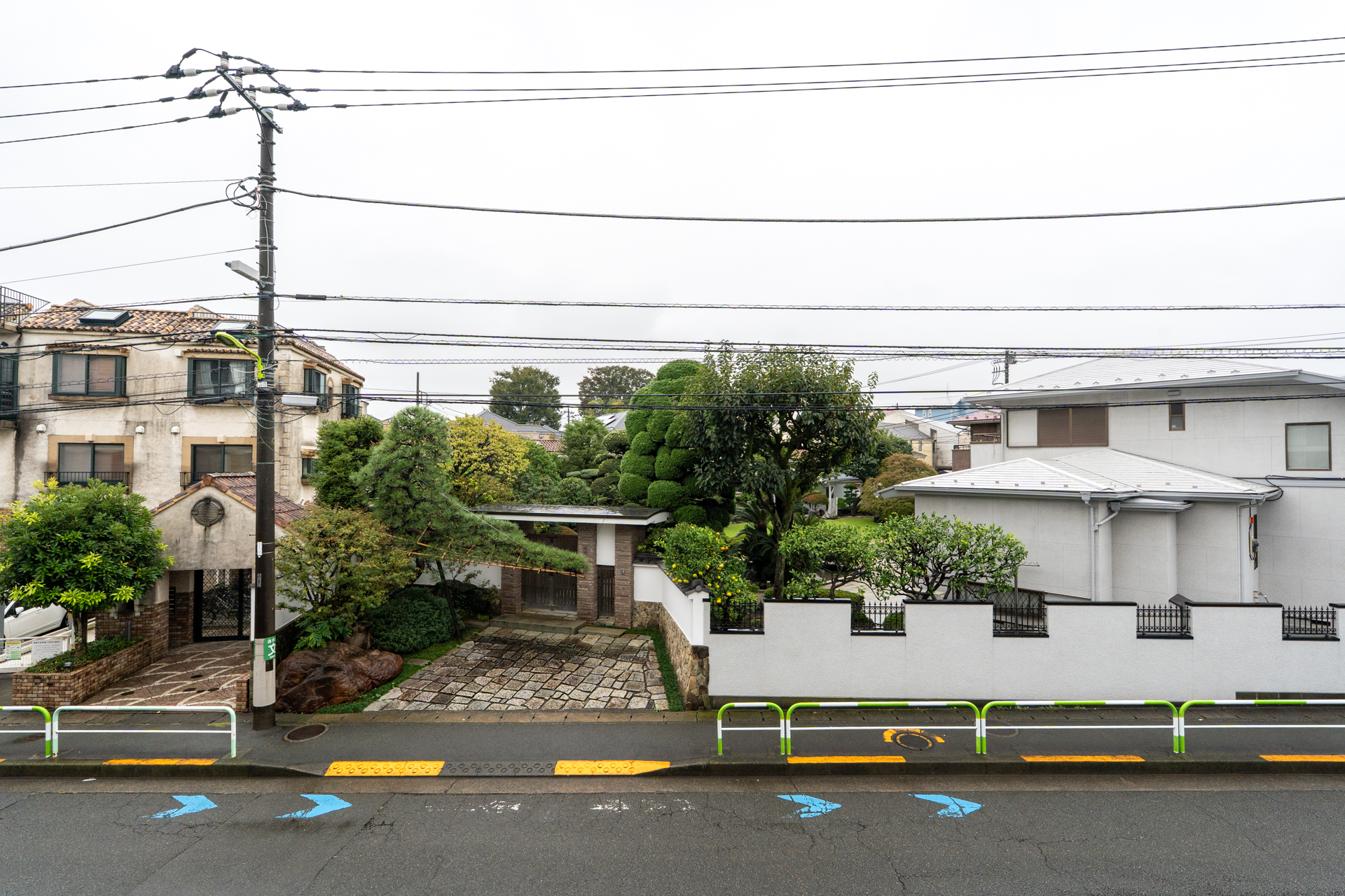お向かいさんの植栽、ありがとうございます!