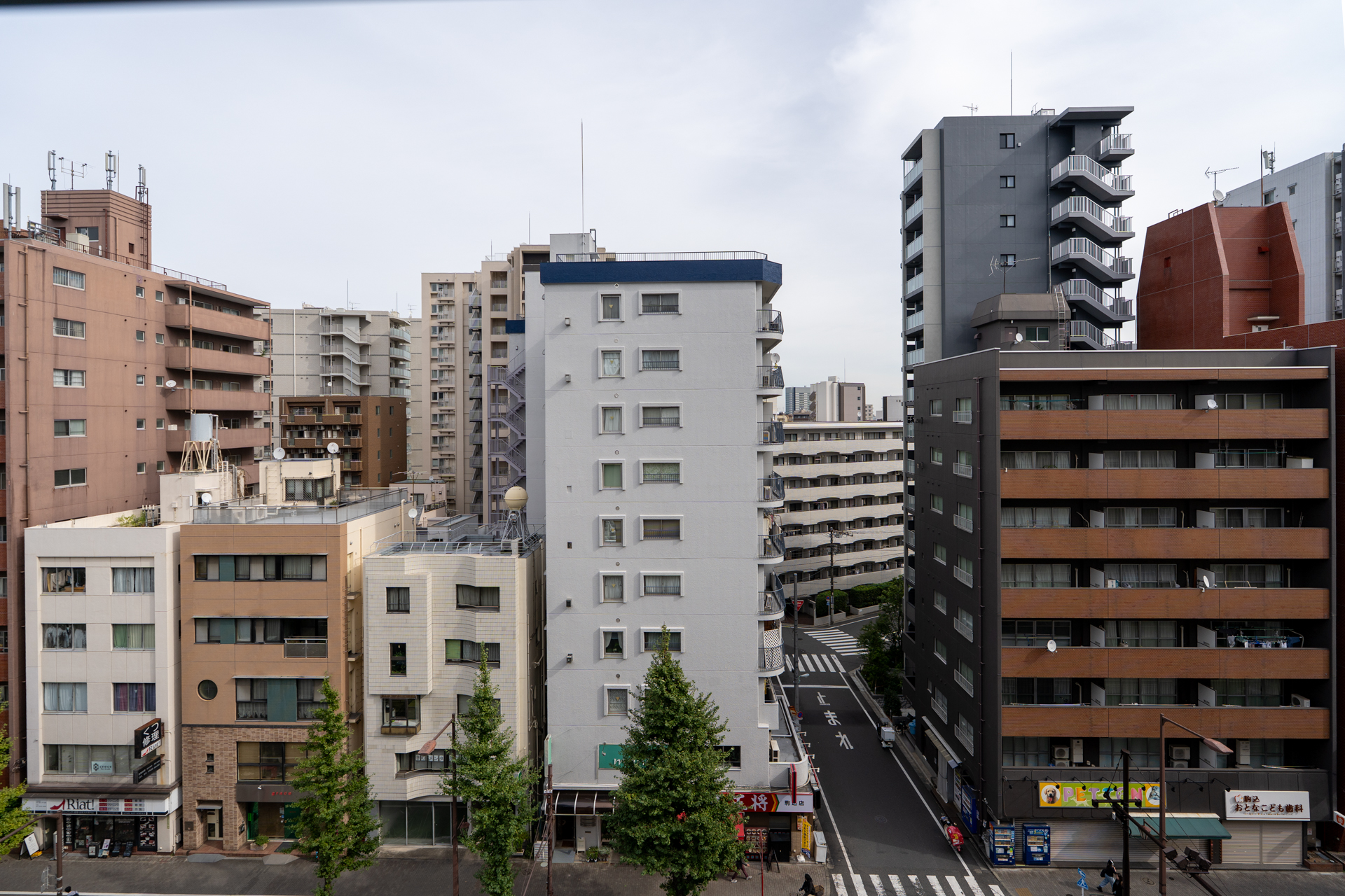 駒込通りに面しているので道向かいが遠め