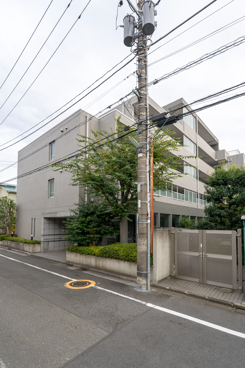 木が植っているのよいですよね