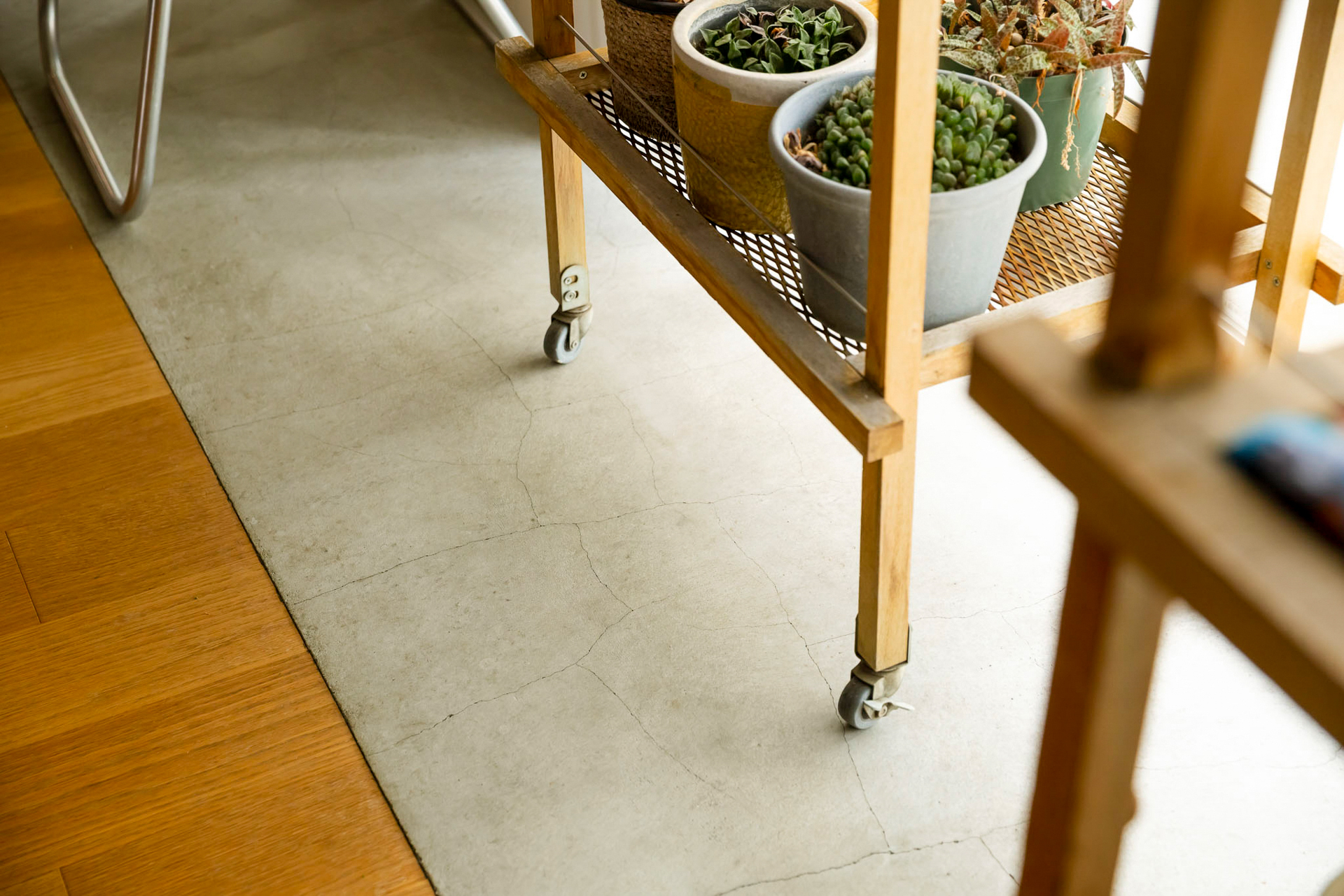 窓辺の床が土間なので水遣りするのに安心ですね