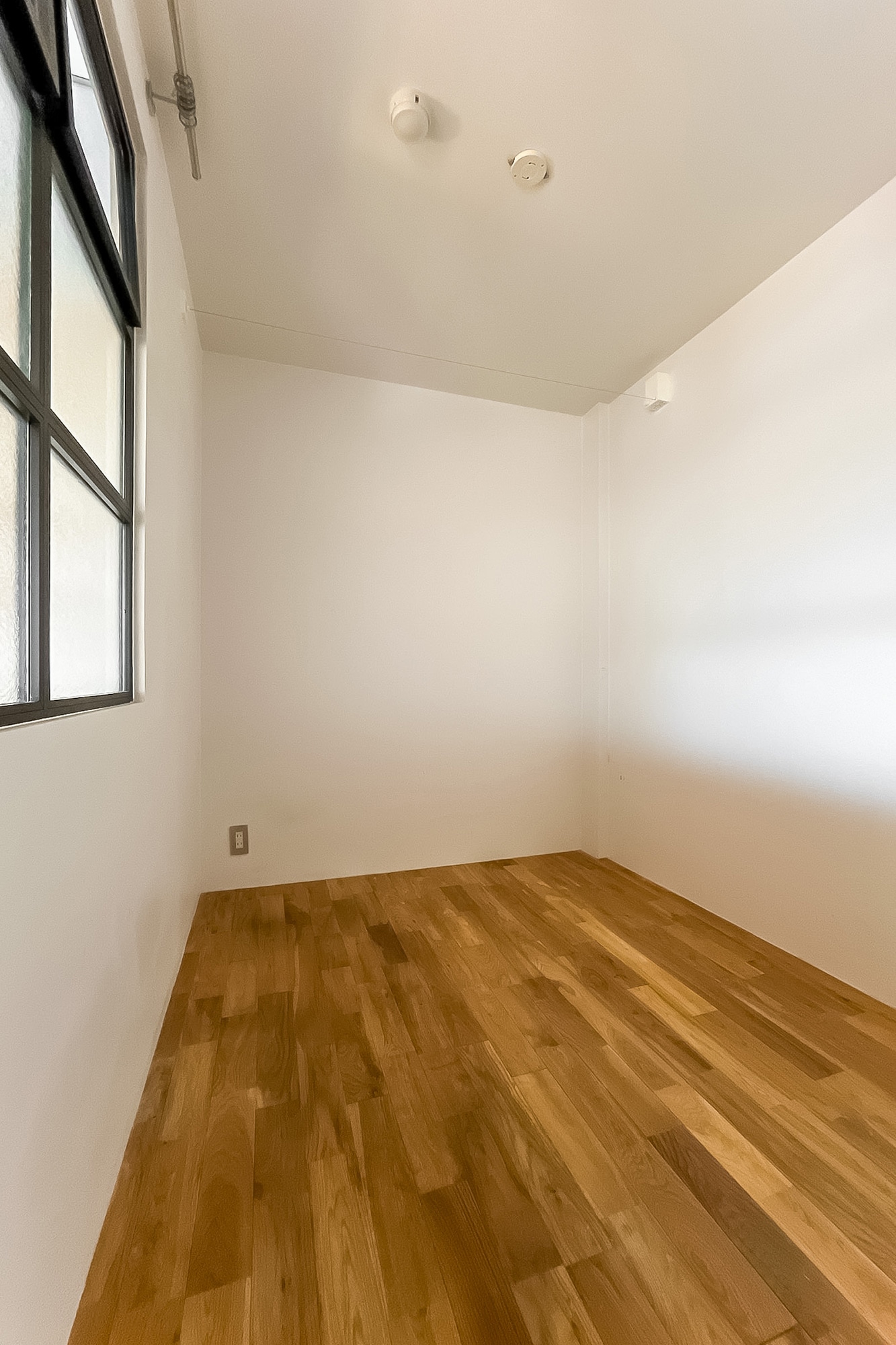 内窓で光が取れる