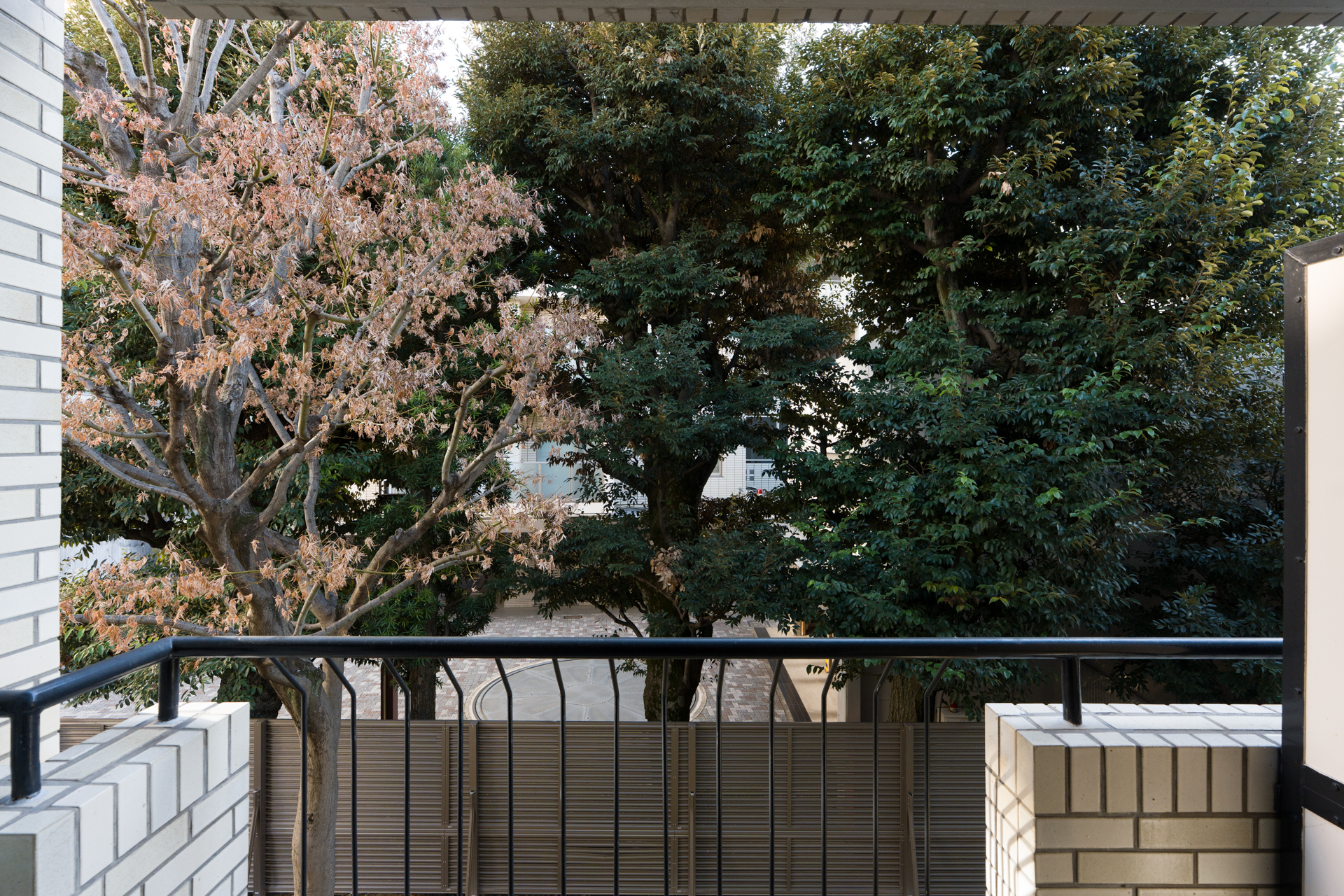 四季を感じる樹々