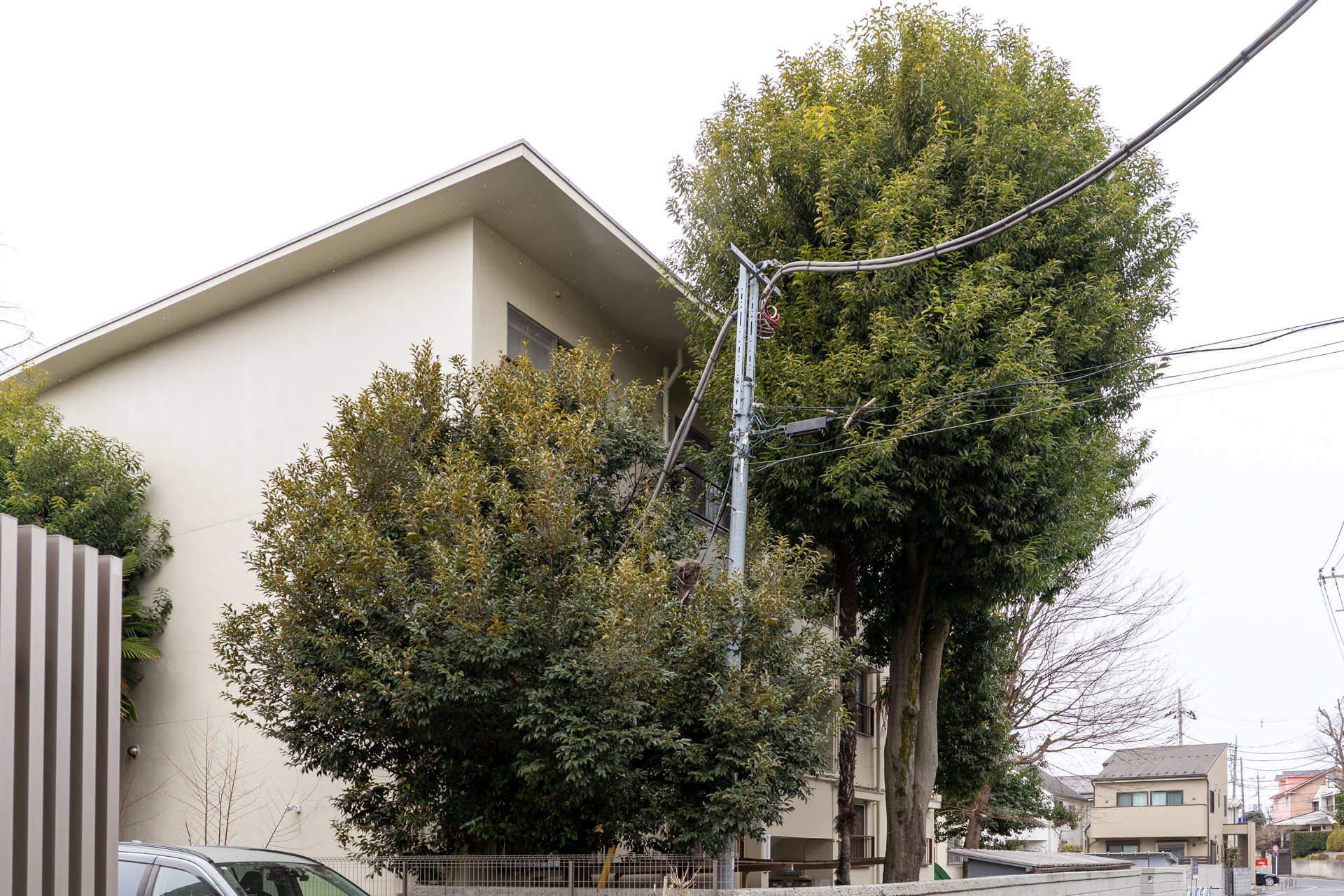 シンボルツリー