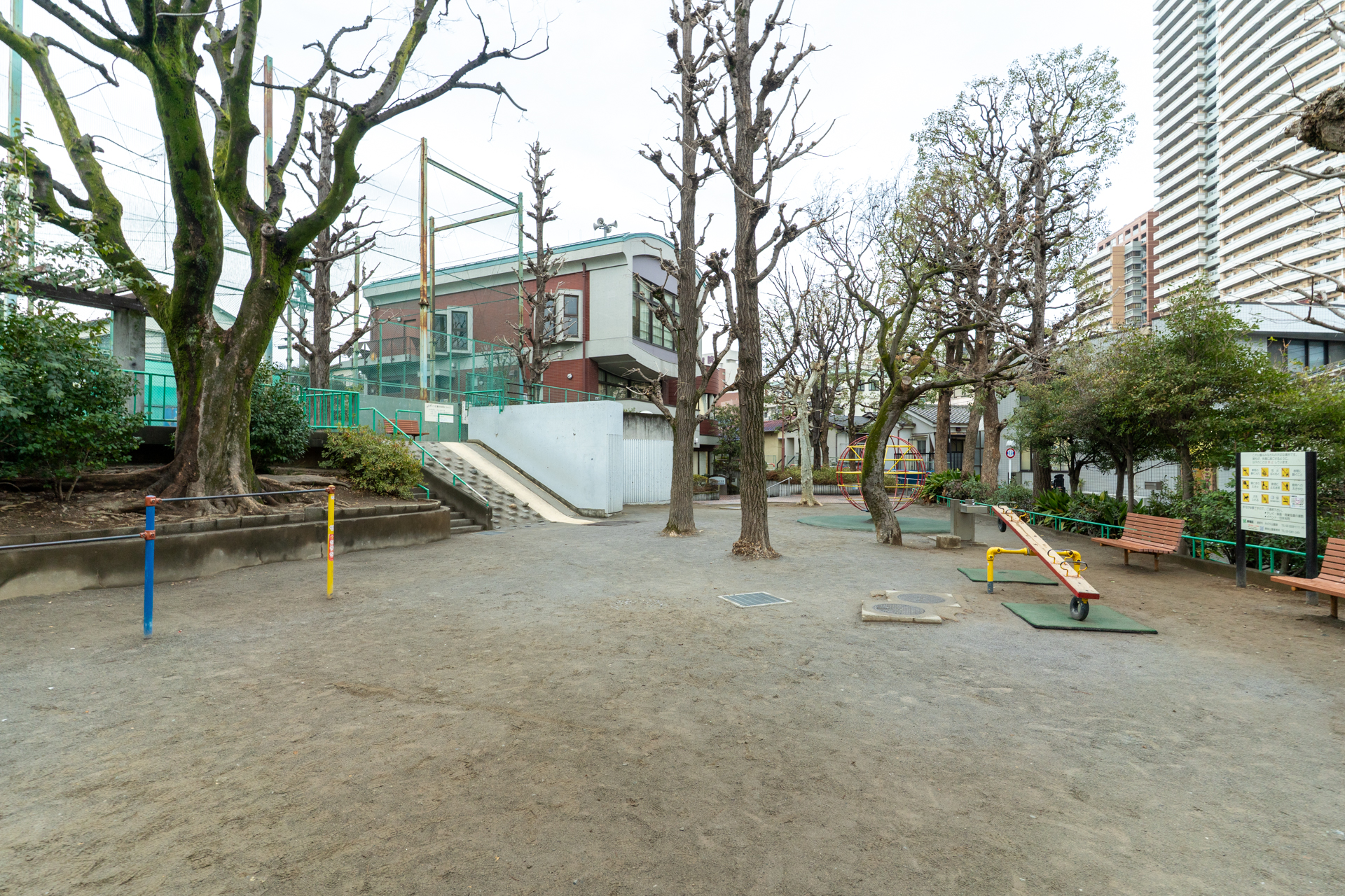 お隣の公園です