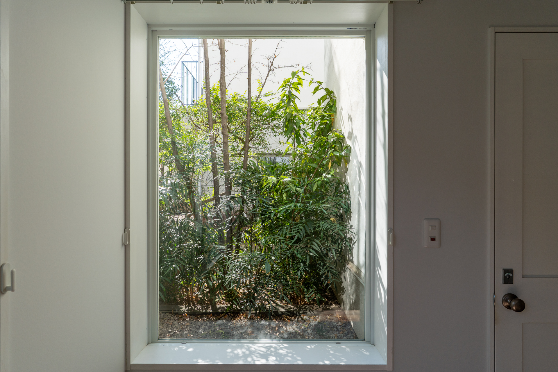 植栽が美しい窓