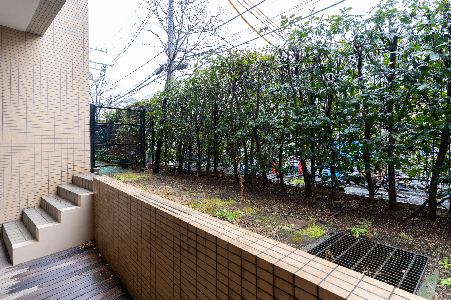 緑を楽しむのに良さそうな庭