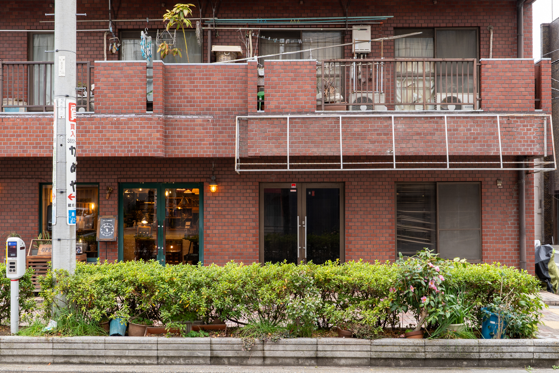 蔵前でじわっと育てる