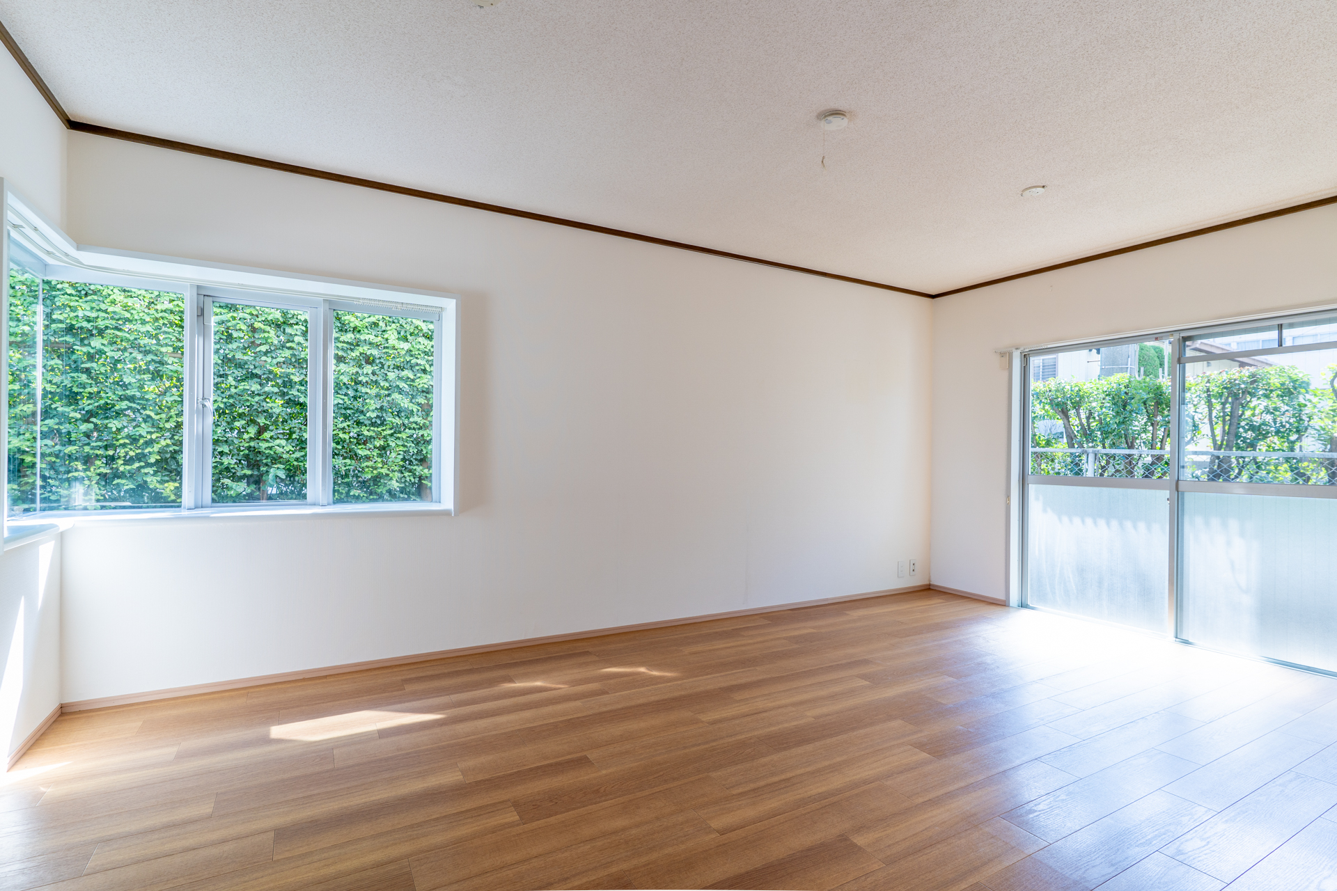 green rich lightroom