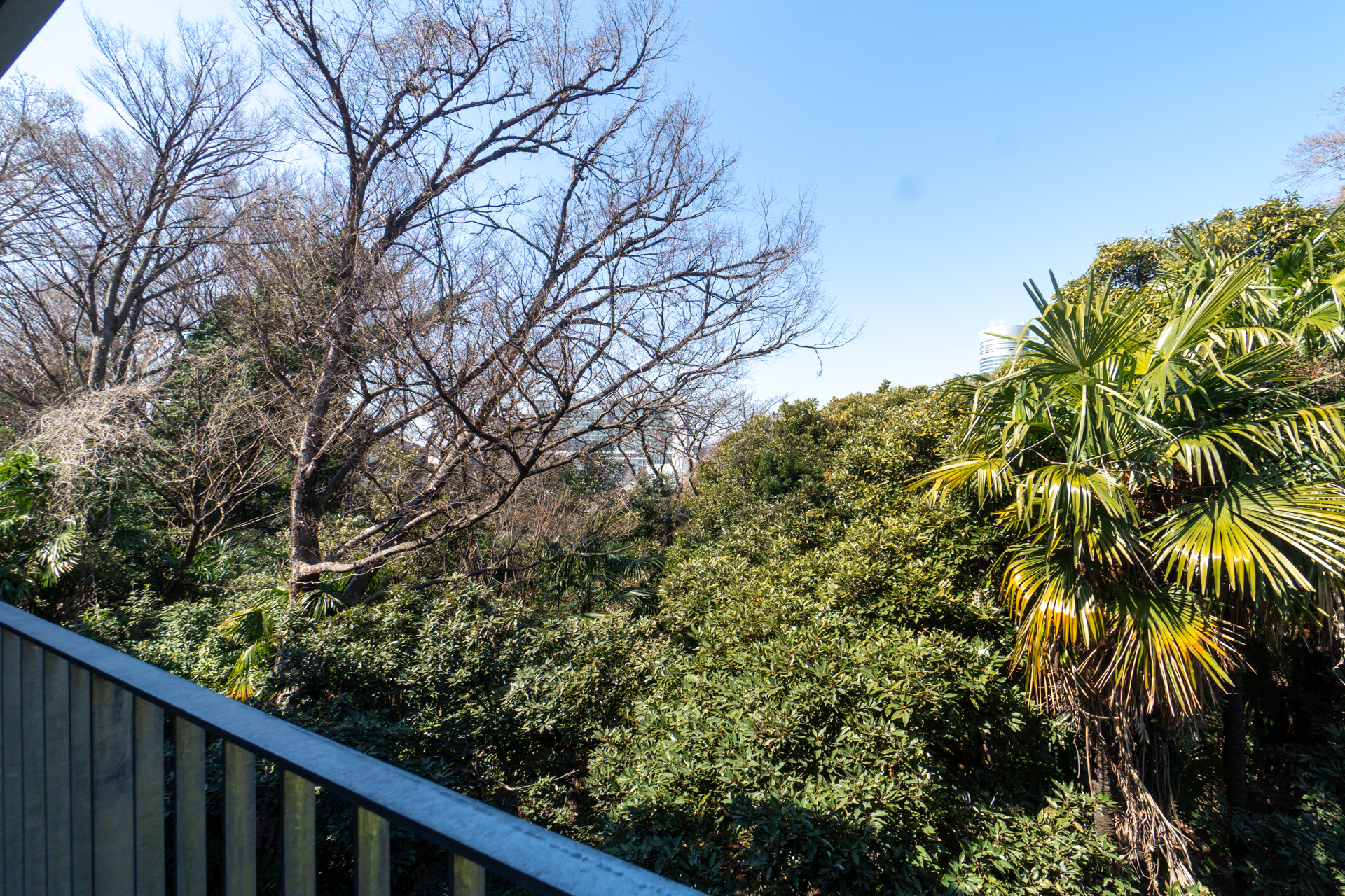 何度も見てしまうビュー（N203号室）