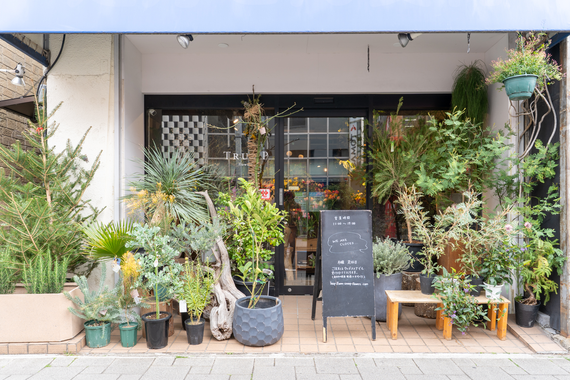 1階の植物屋さん