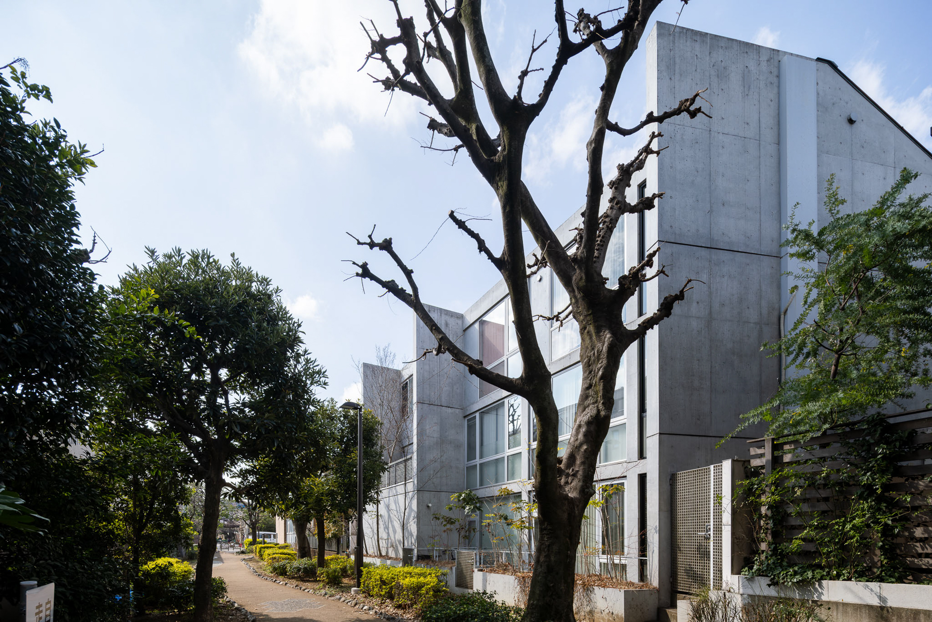 余計なデザインのない美しい外観