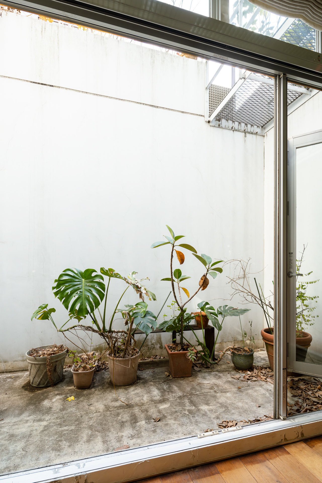 奥行きのあるドライエリアはカフェのテラス席のような使い方もできそう