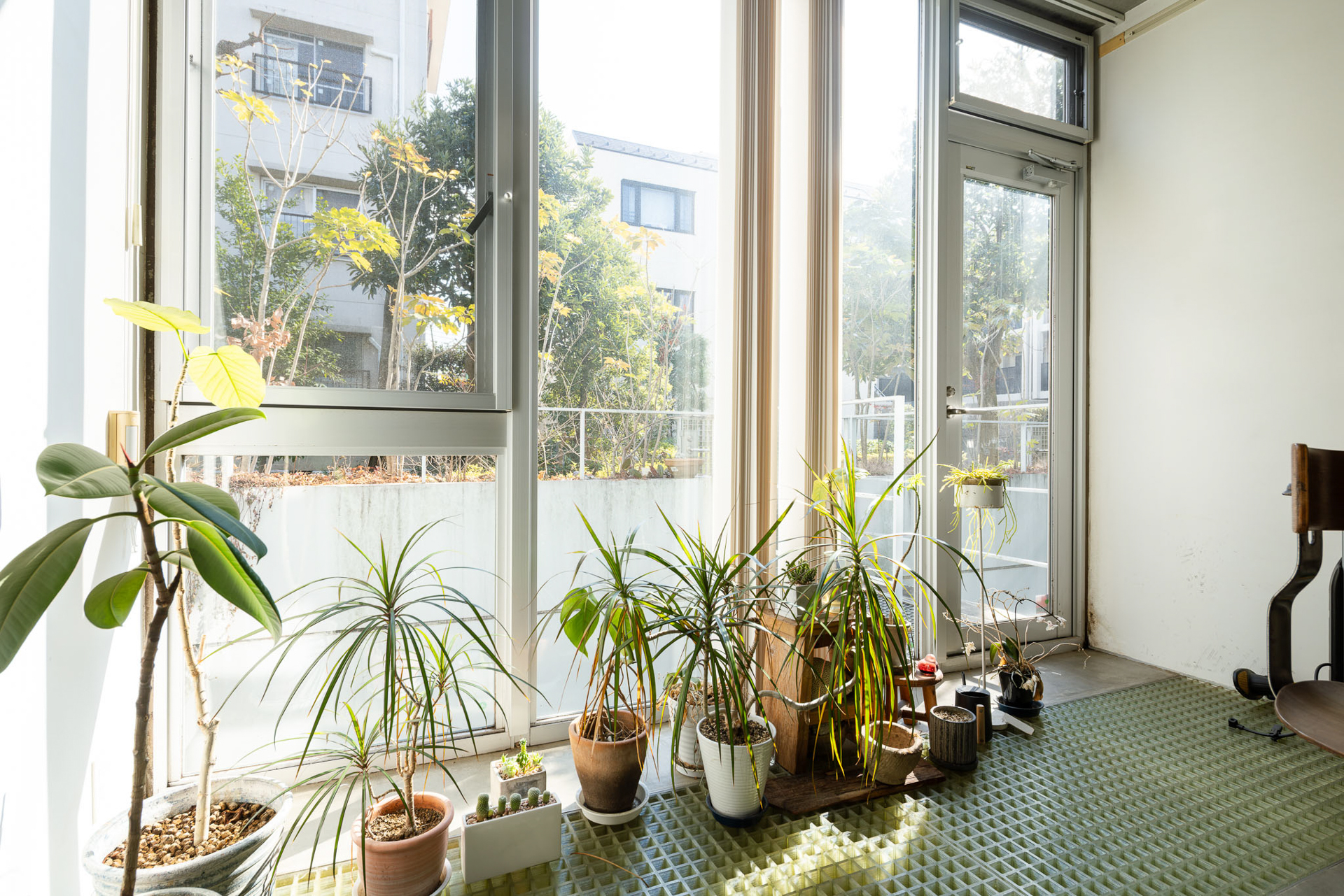 玄関脇のグレーチング床部分は植物を並べてインナーテラスっぽく使われています