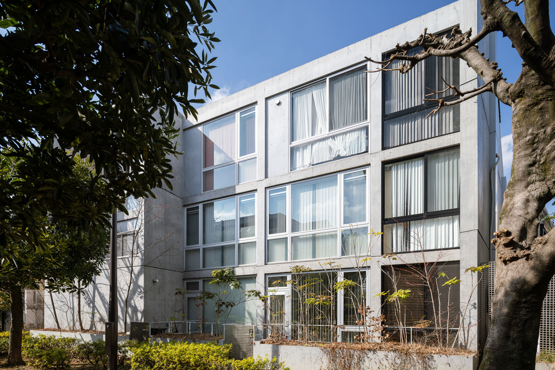 余計なデザインのない美しい外観