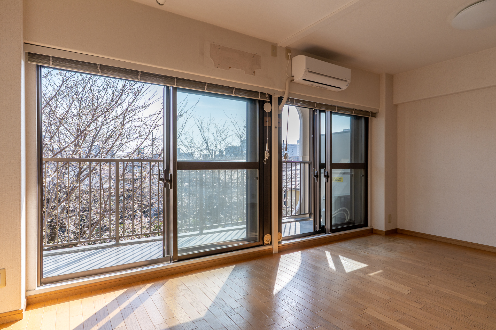 吉祥寺の花見スポット