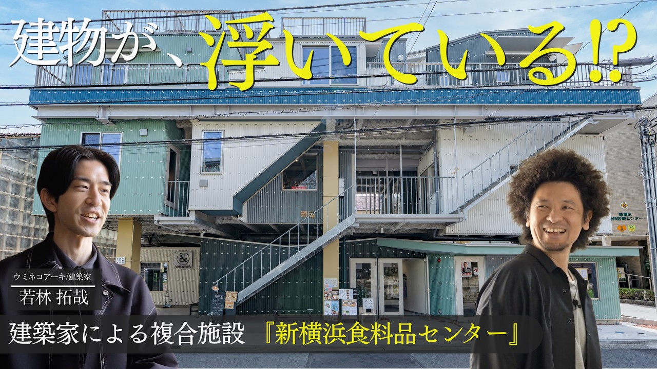 動画