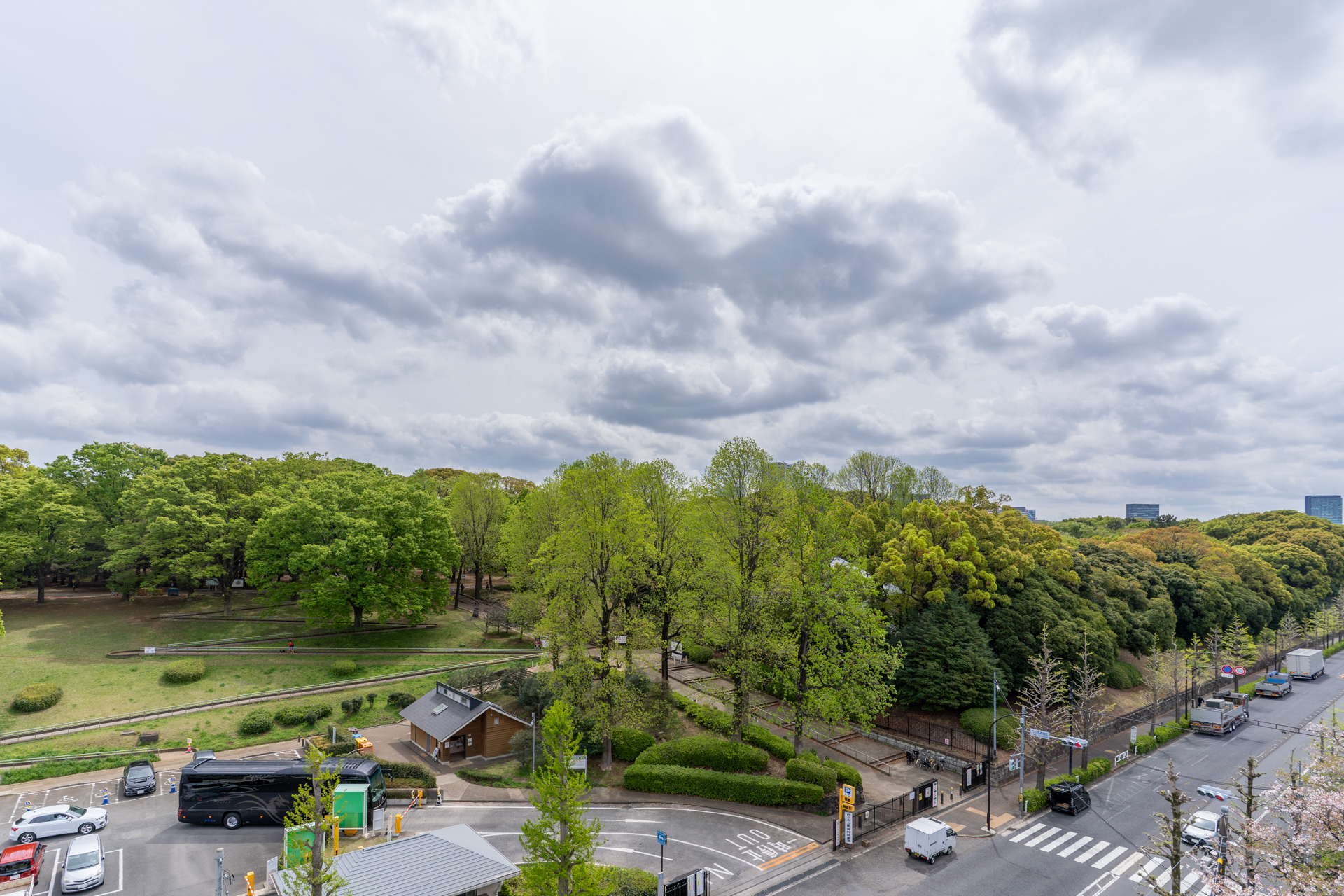 リビングからの代々木公園