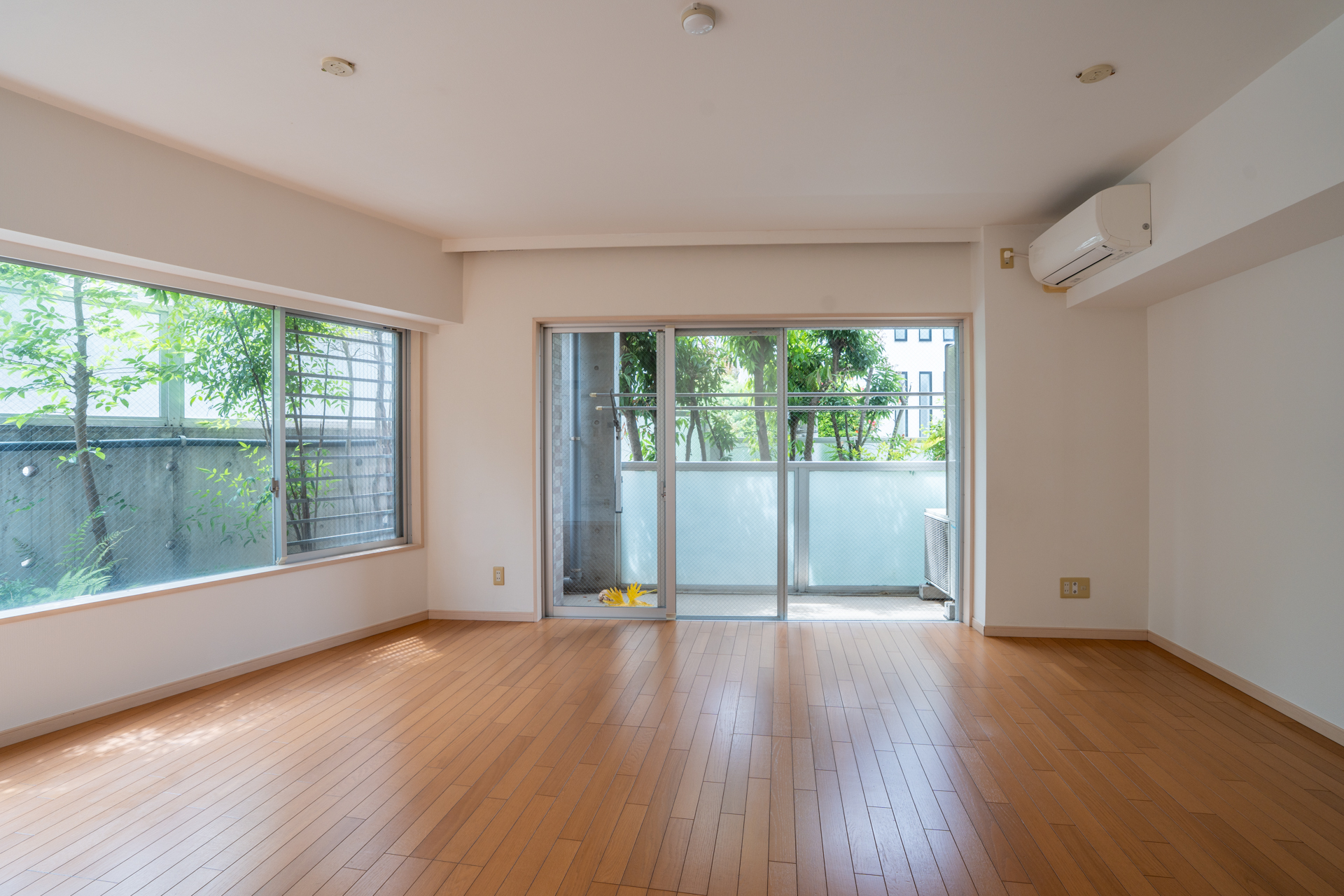 お部屋全体から緑の景色