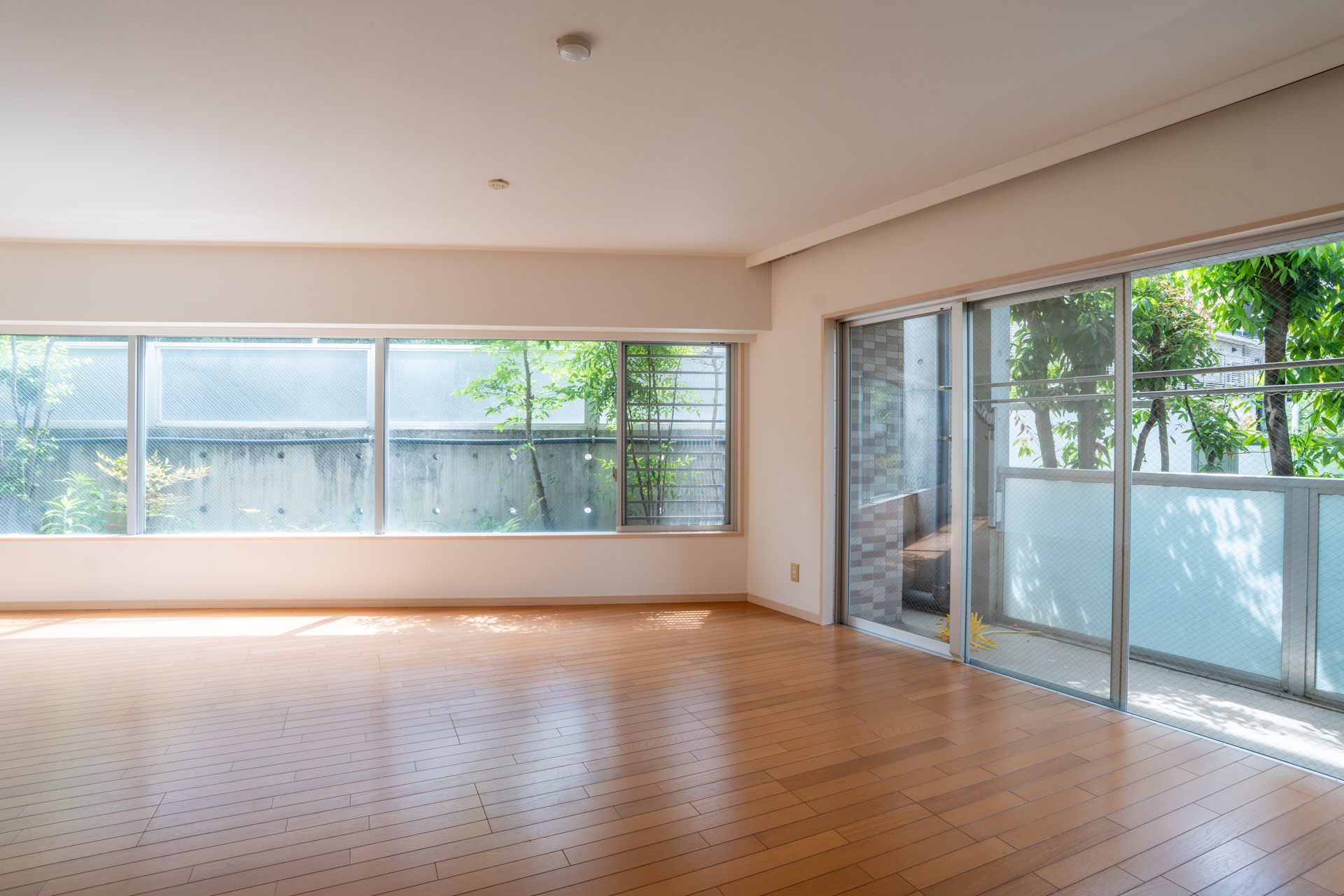 木漏れ日と暮らす