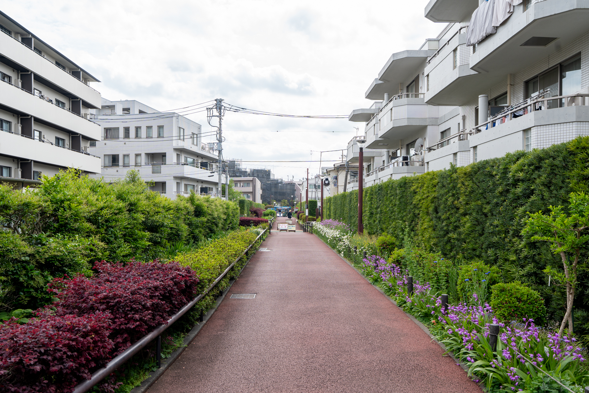 小川が流れる鳥山川緑道沿い
