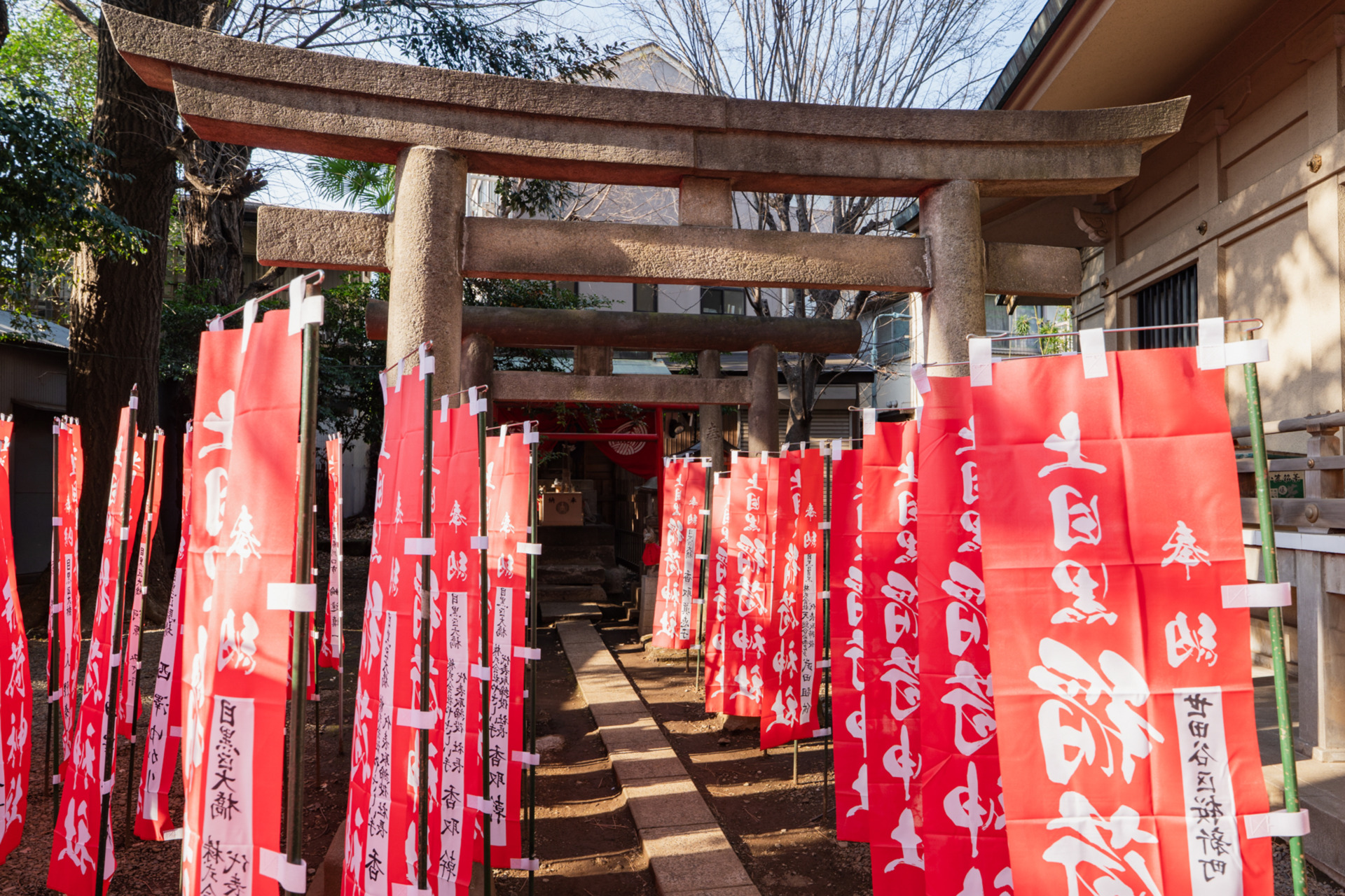 稲荷神社ののぼり旗を通って帰宅するのが日常です（※写真はすべて前回募集時に撮影したものです）