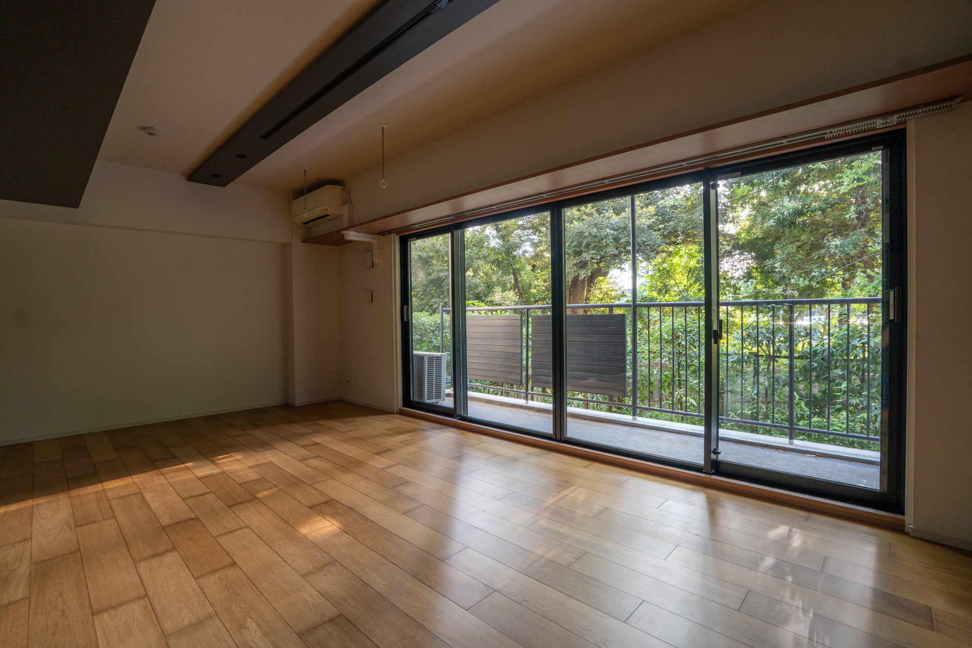 森の中のような雰囲気