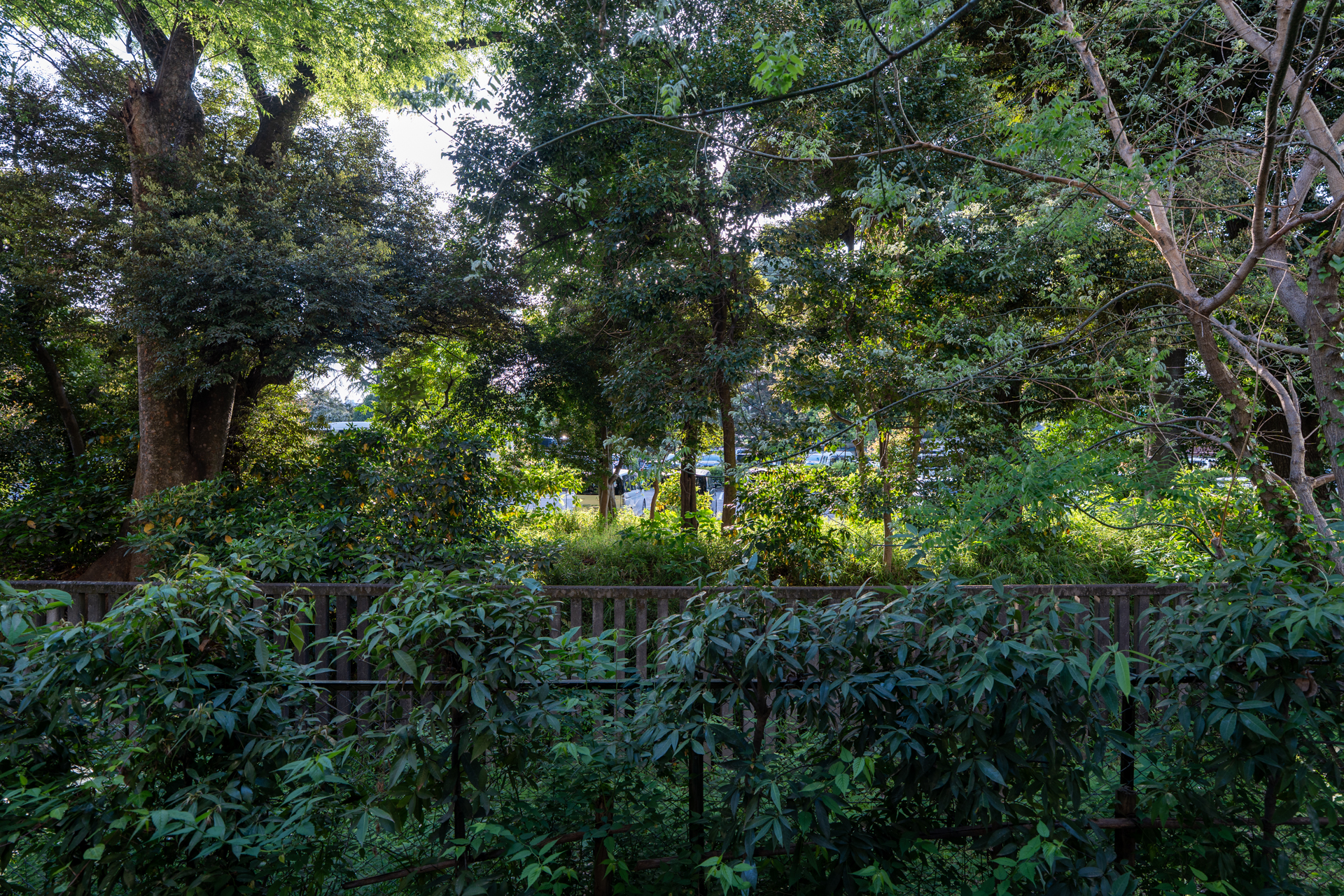 正面木々の向こうは御苑の駐車場