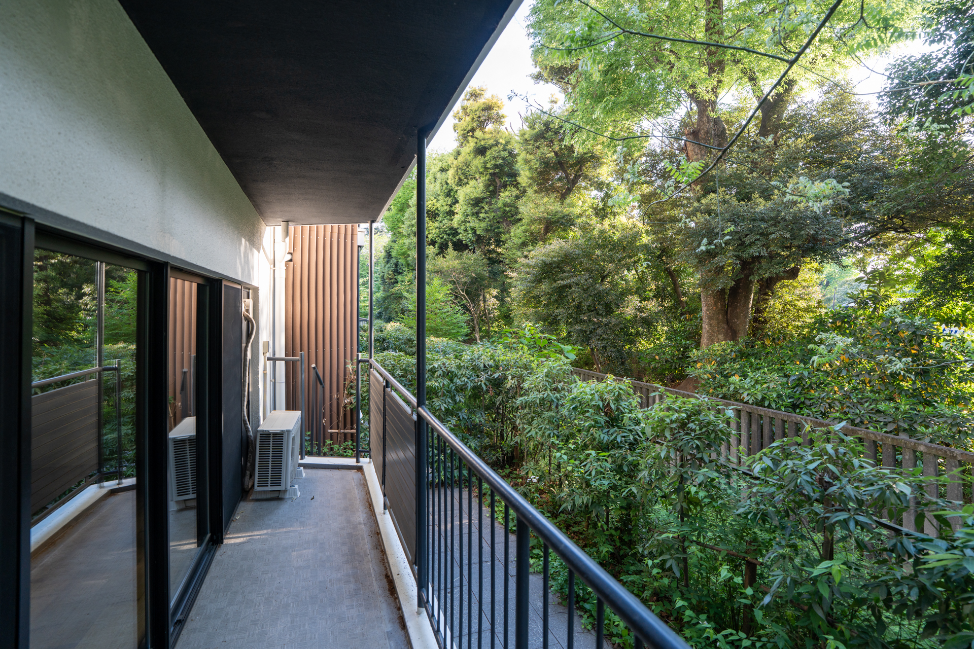 御苑の木々との間にも少し距離がある