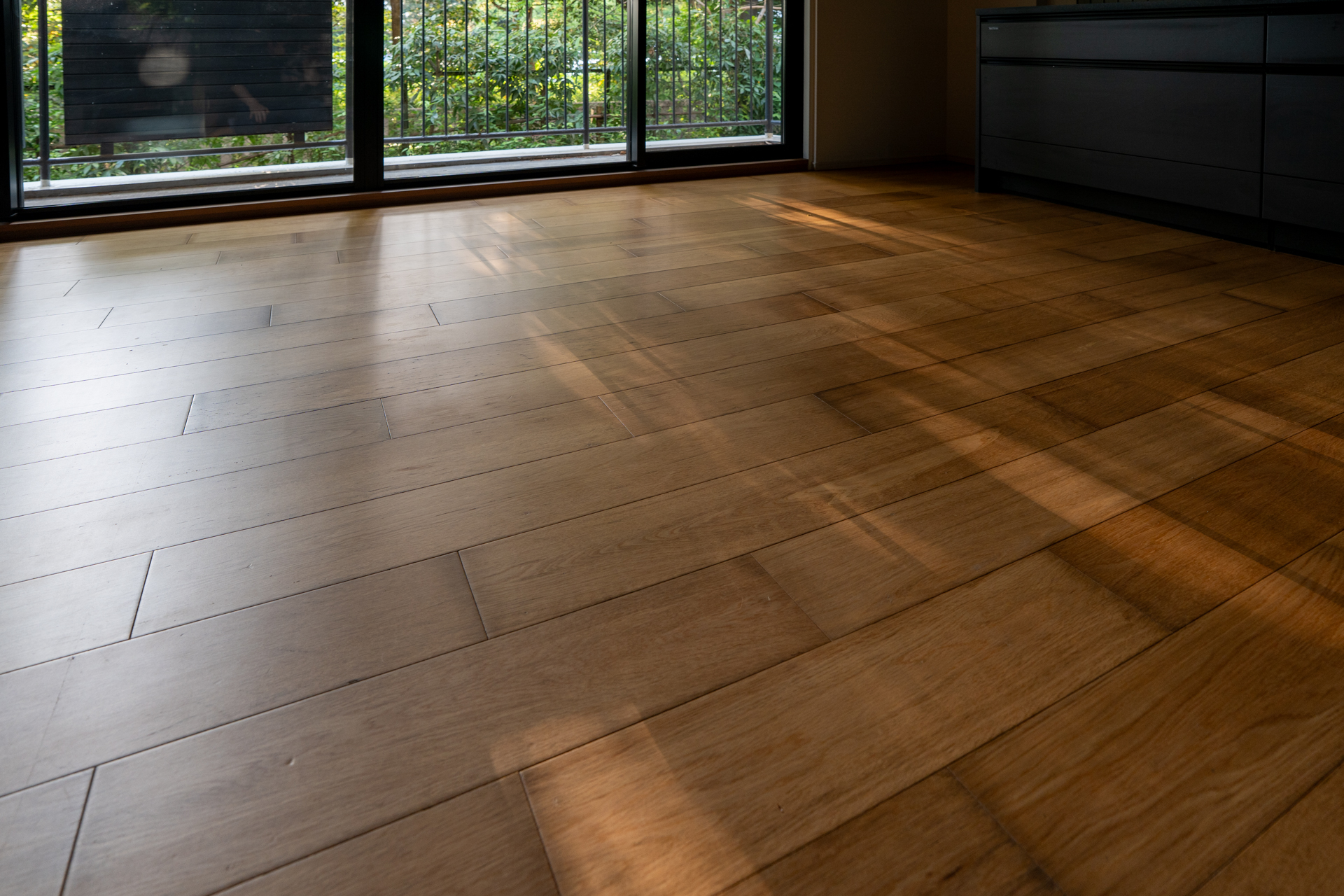 揺れる木漏れ日