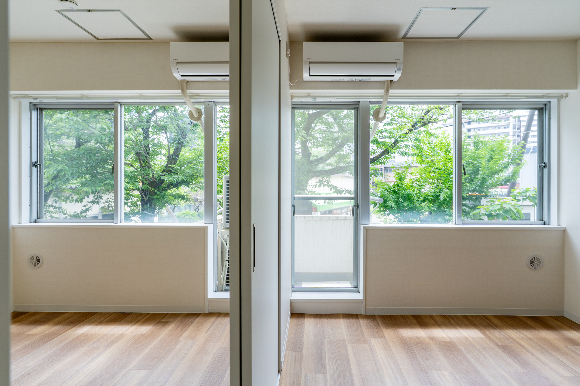 神田川の隣で桜と暮らす