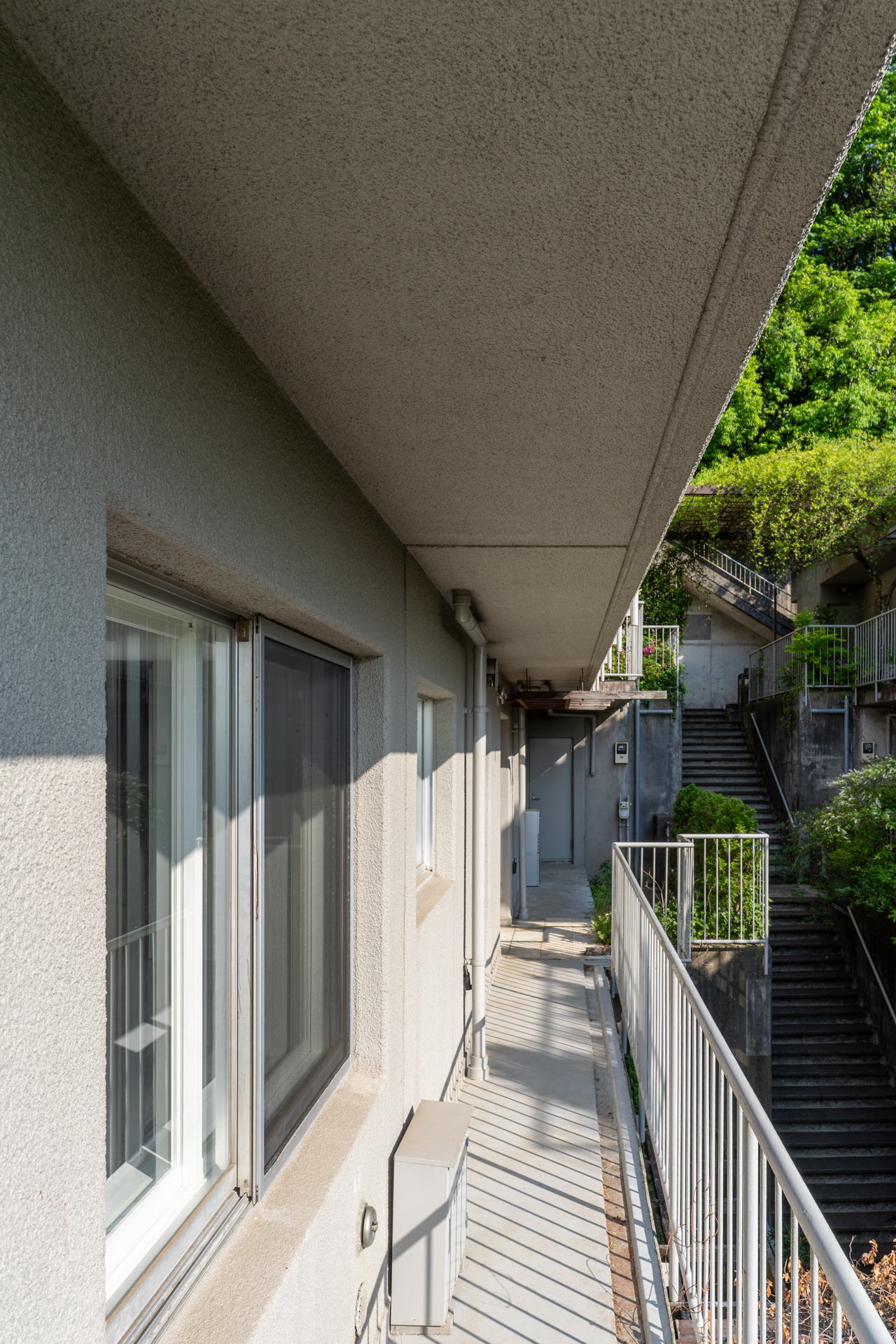 玄関横のルーフガーデンまでの道