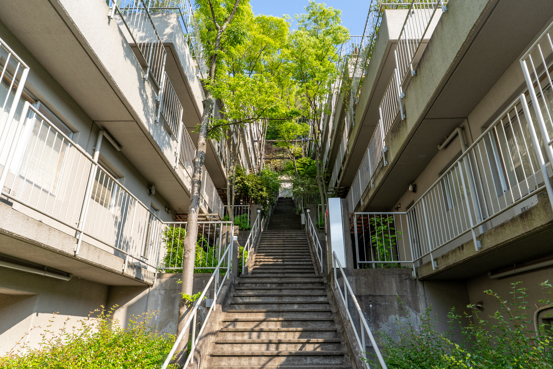 お部屋までの階段