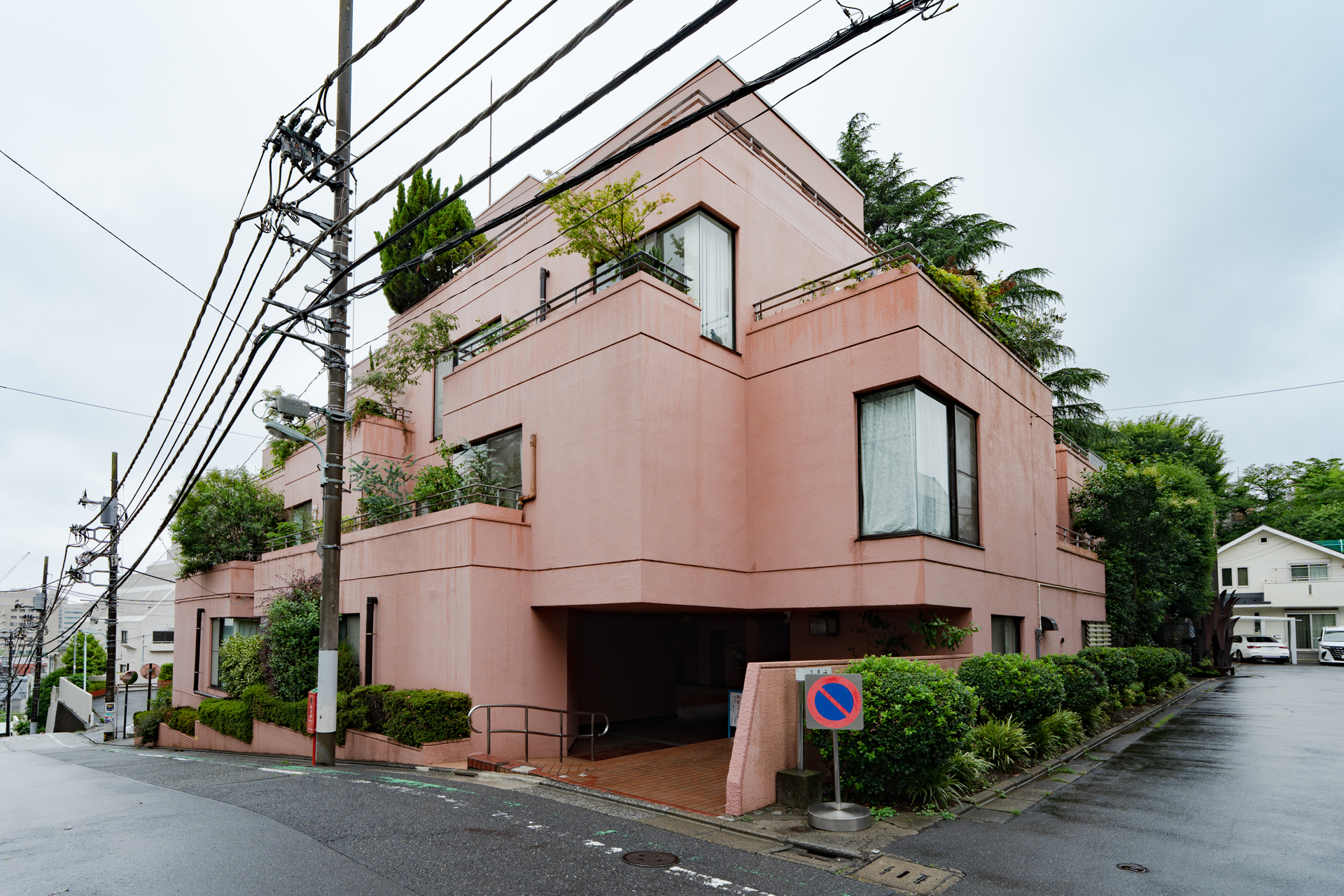 ピンクのキャンバス