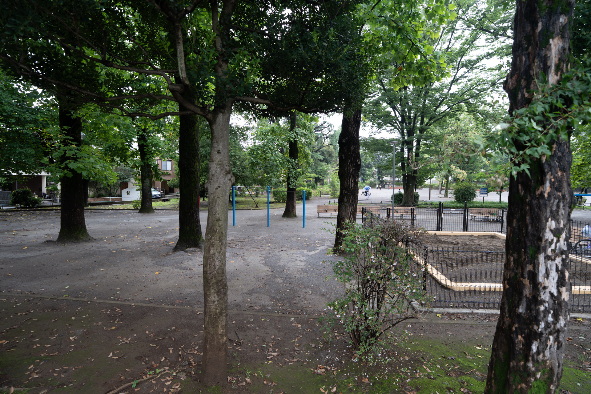正面の公園は結構な広さ