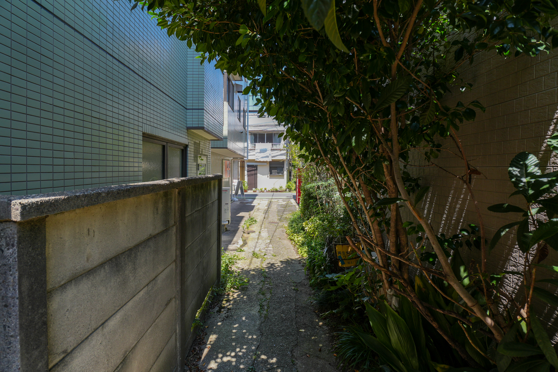 建物前までの通路は細い
