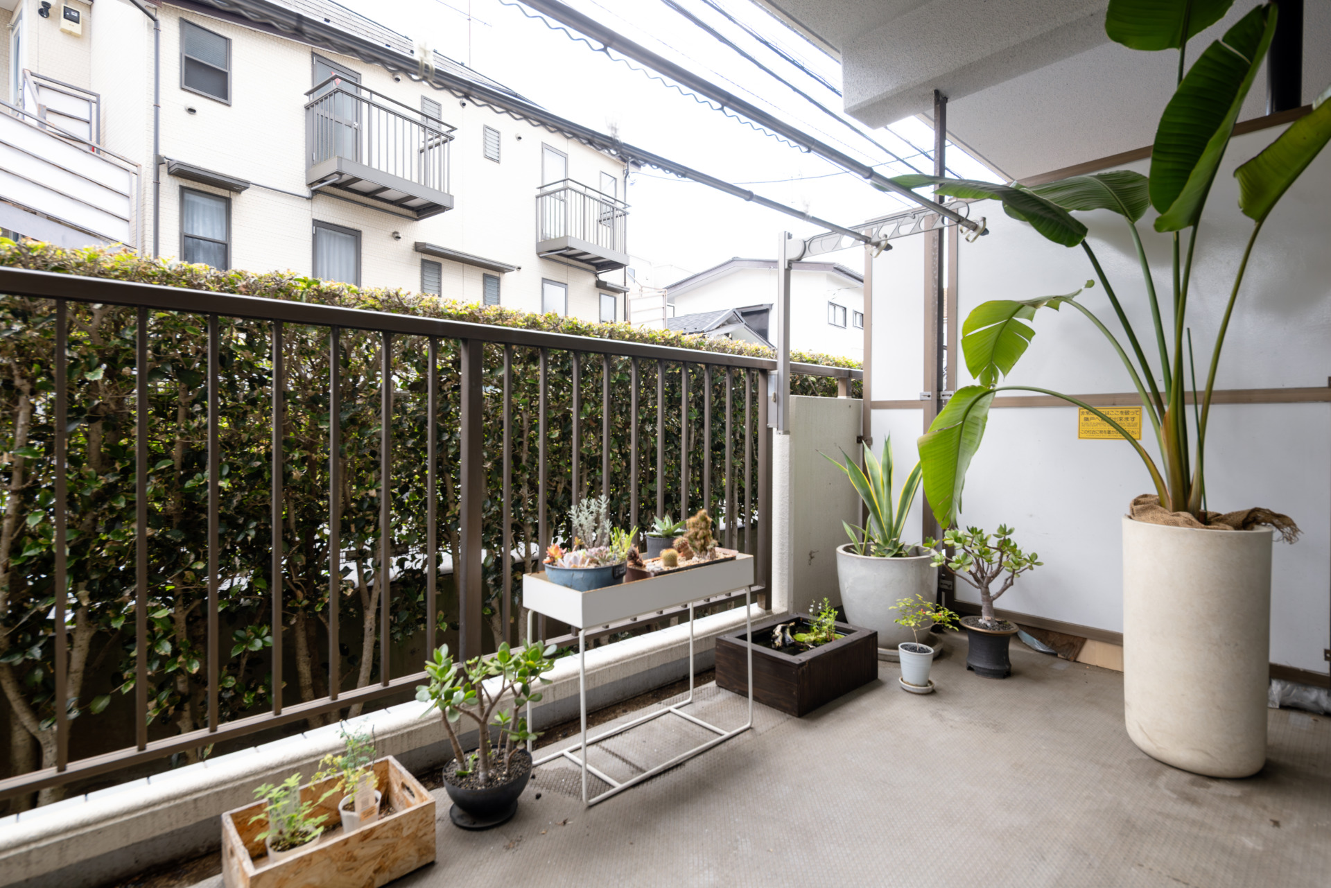 植物が置けそうなベランダ