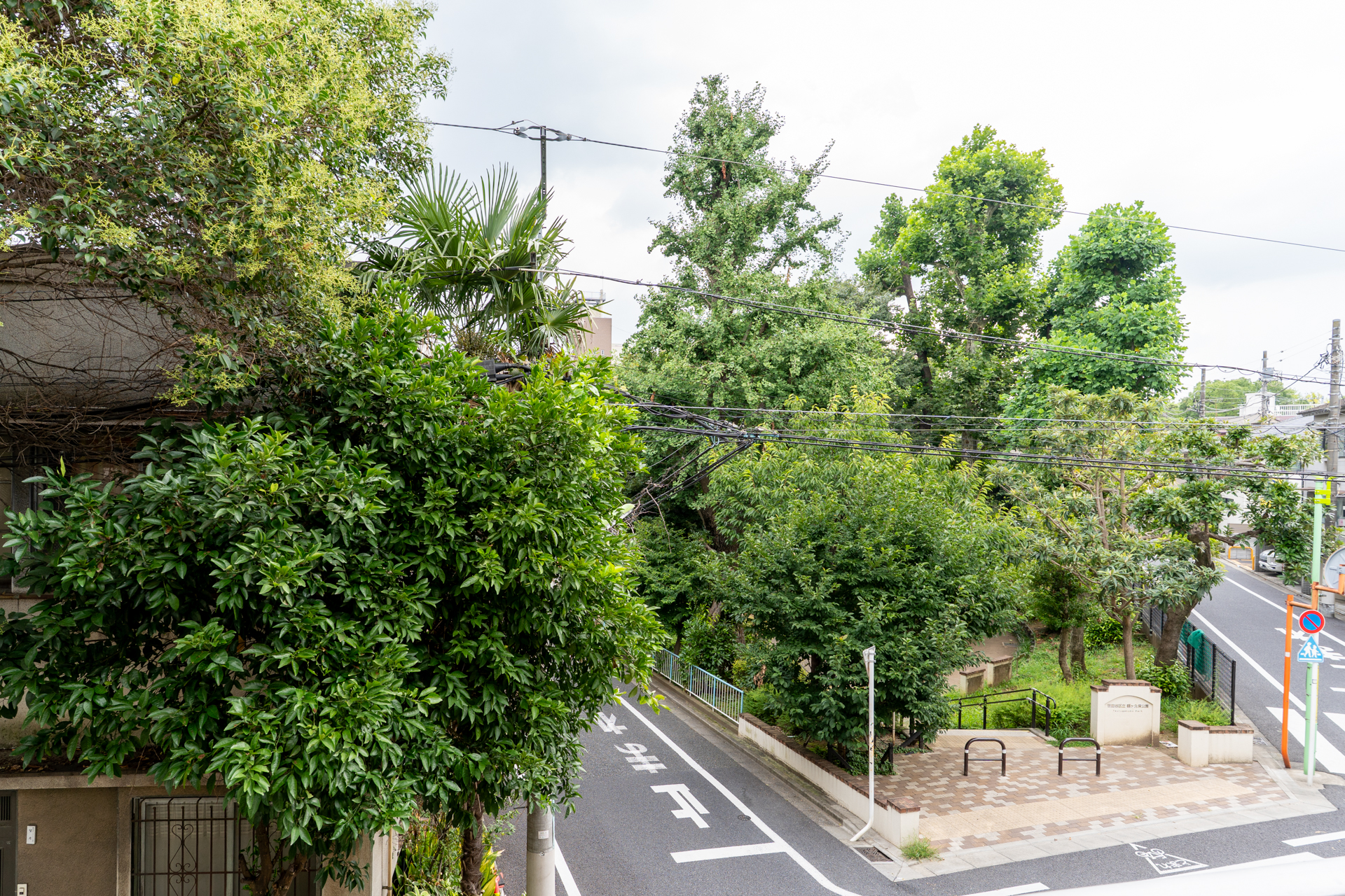 目の前は公園