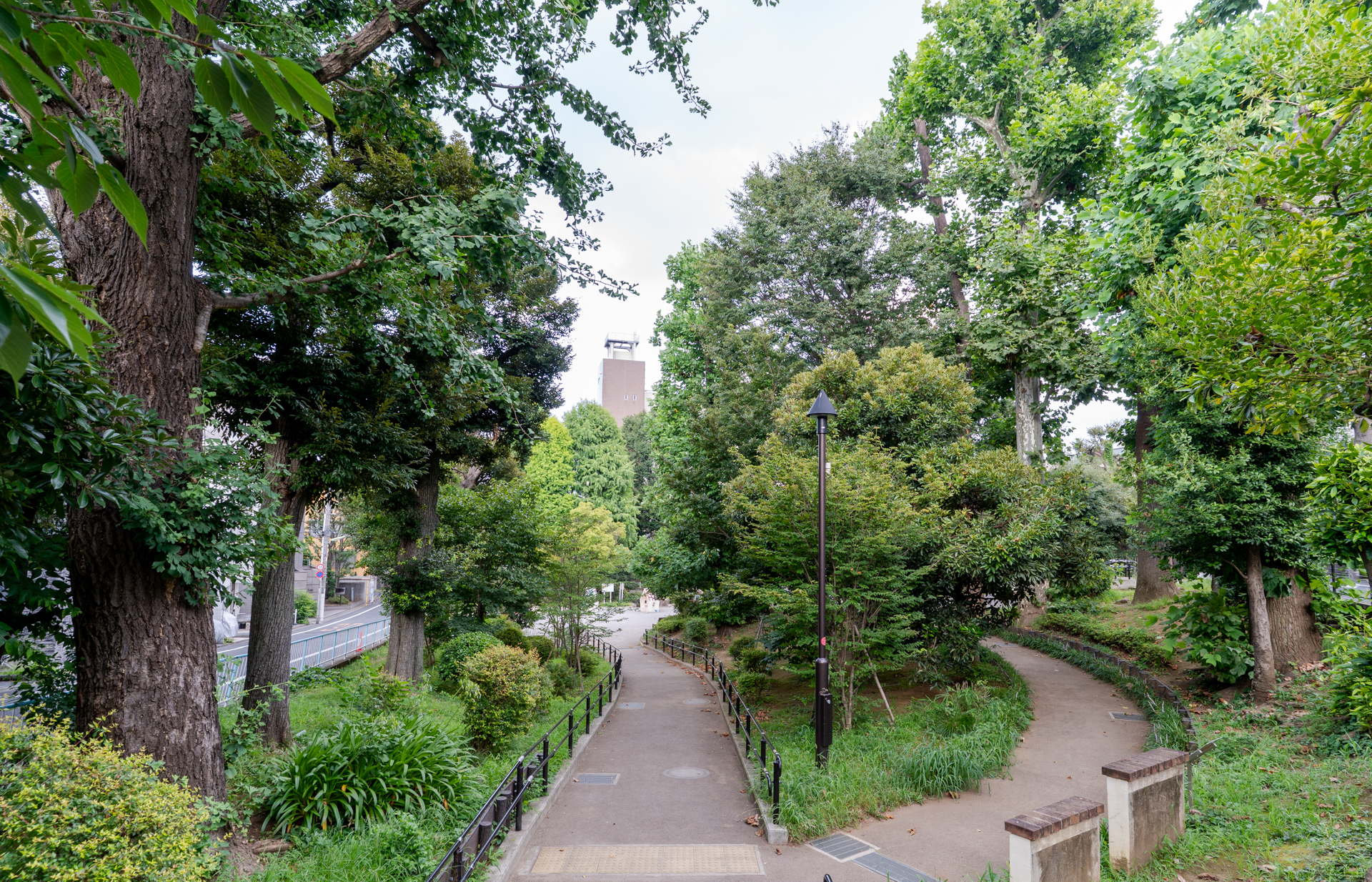 目の前の緑豊かな公園