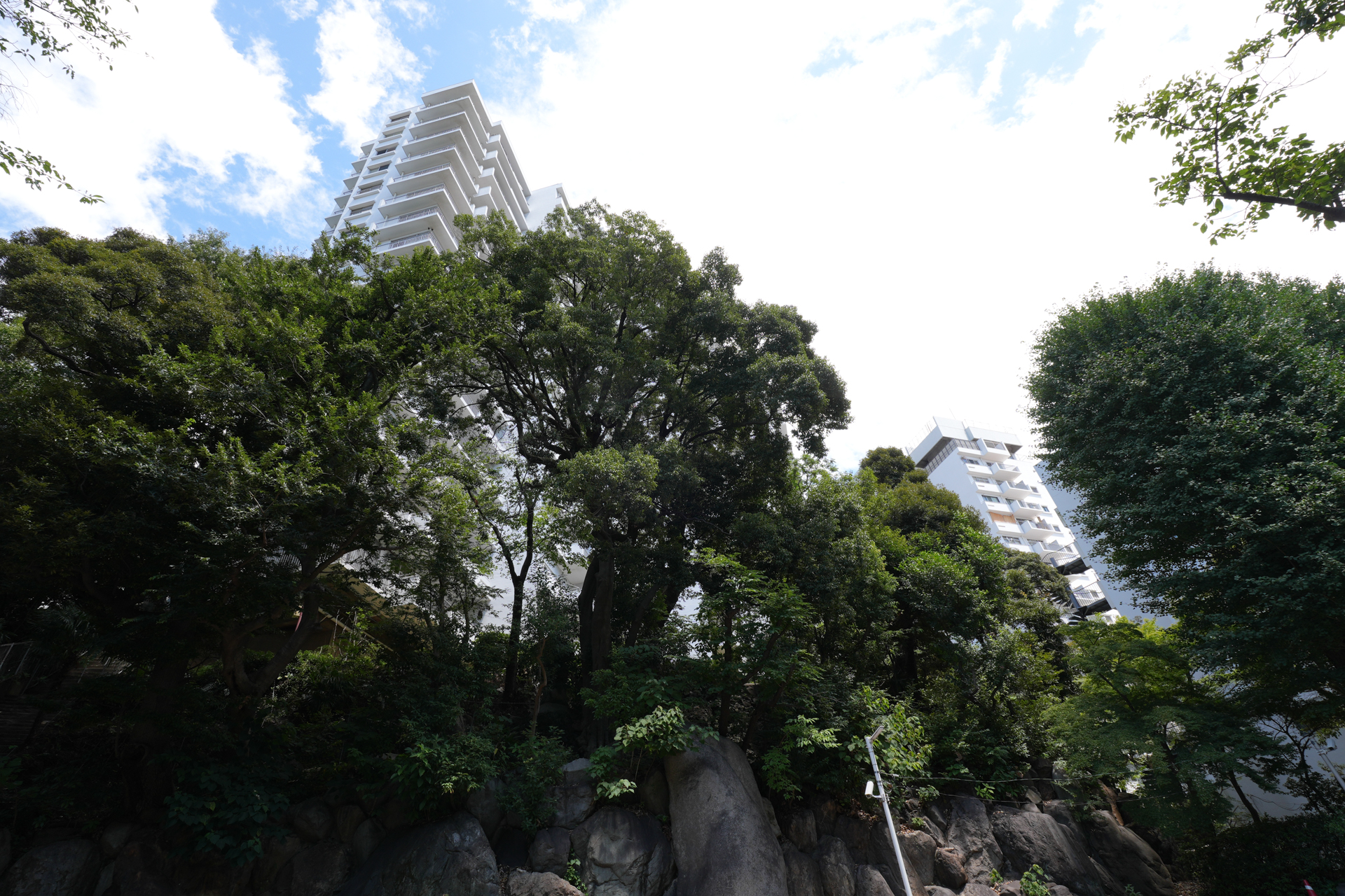 目黒川から眺める